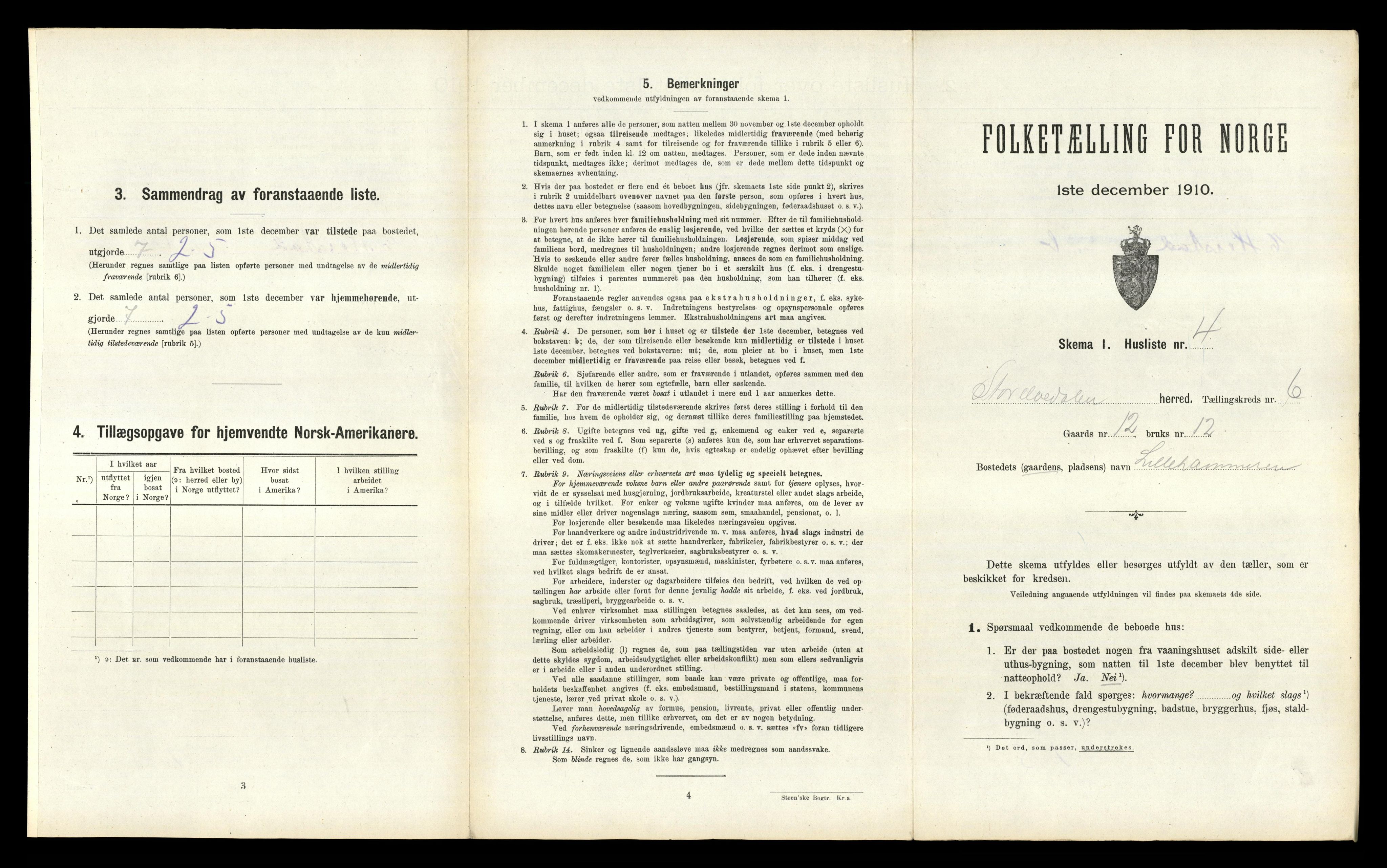 RA, 1910 census for Stor-Elvdal, 1910, p. 571