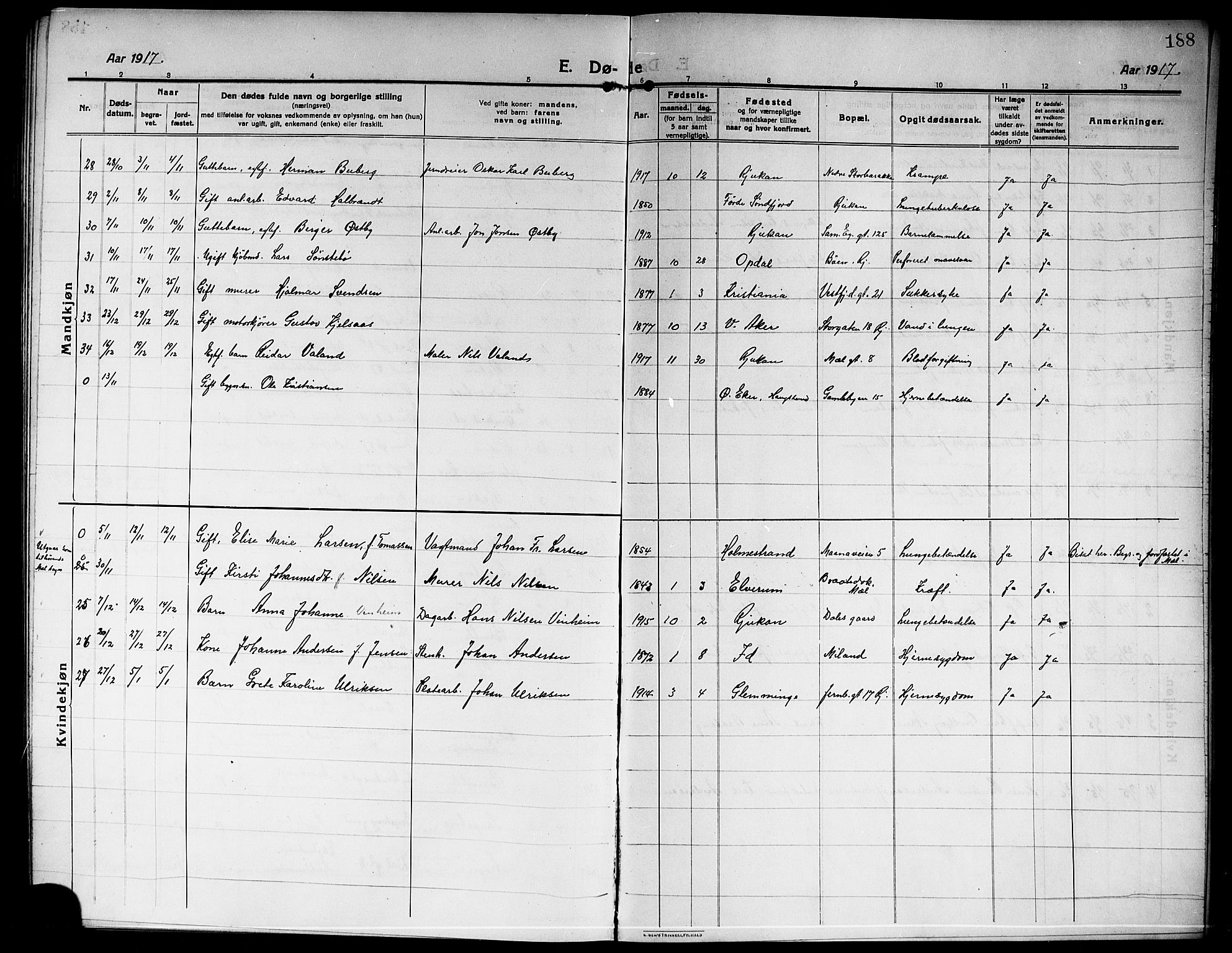 Rjukan kirkebøker, SAKO/A-294/G/Ga/L0002: Parish register (copy) no. 2, 1913-1920, p. 188
