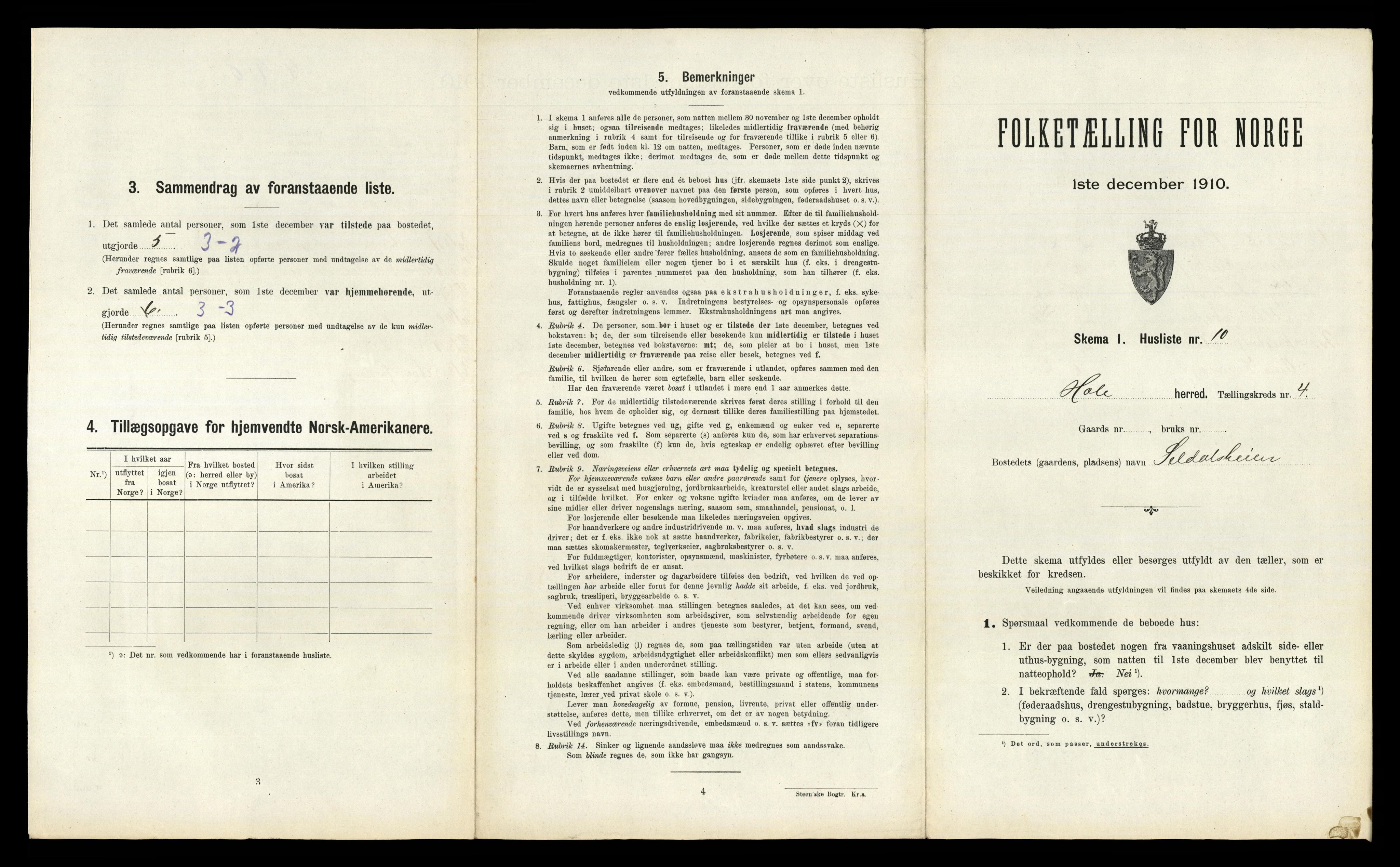 RA, 1910 census for Høle, 1910, p. 260