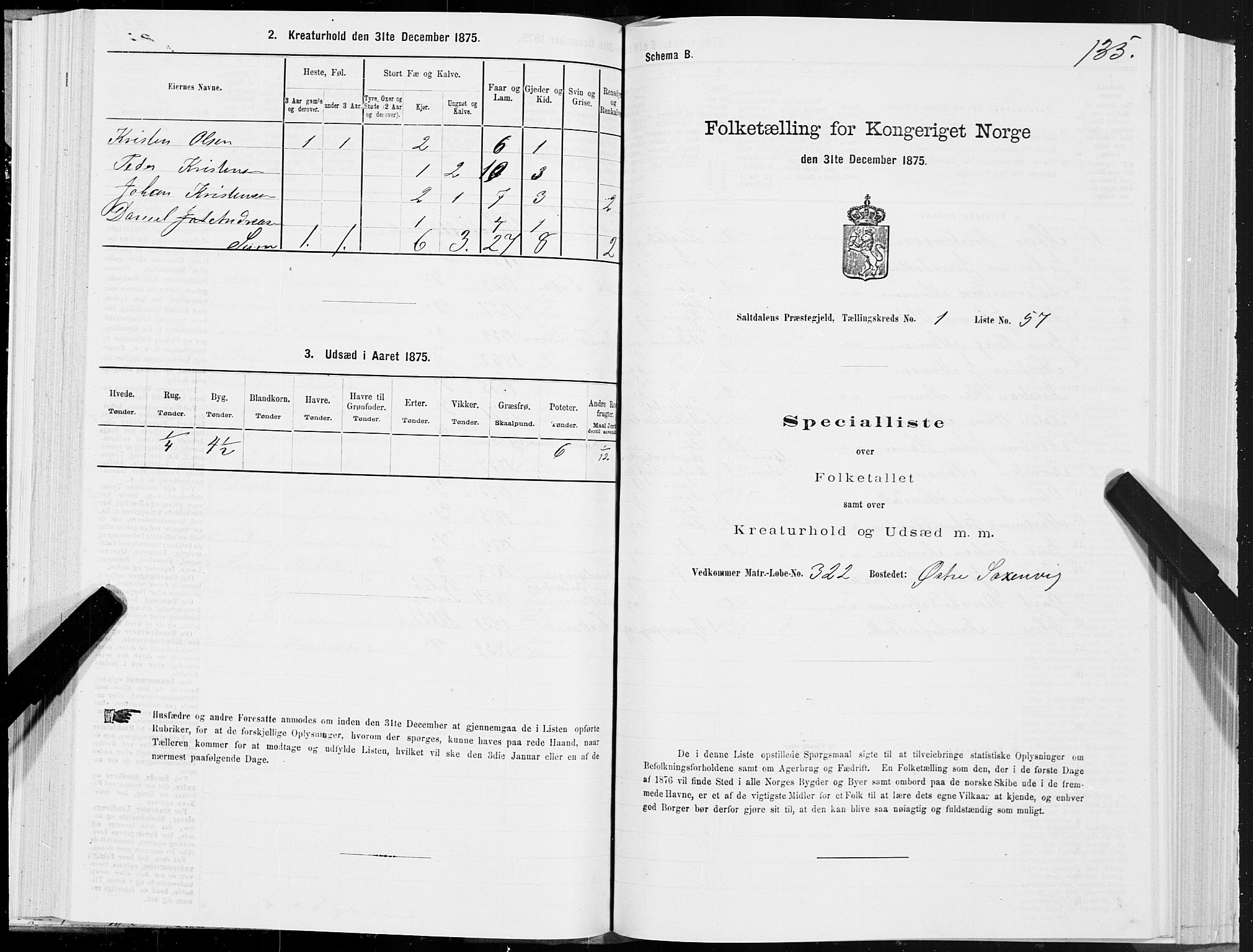 SAT, 1875 census for 1840P Saltdal, 1875, p. 1135