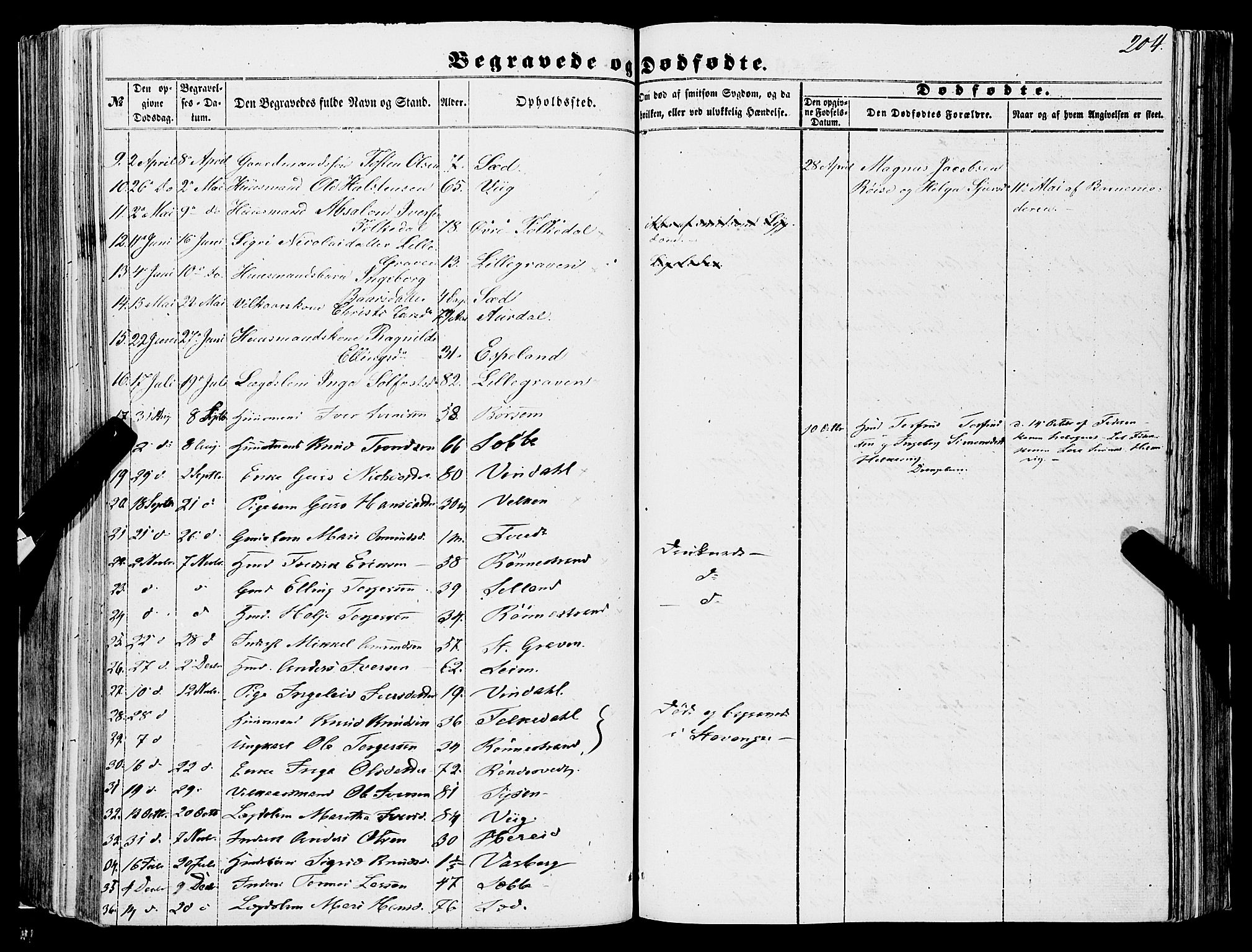Ulvik sokneprestembete, SAB/A-78801/H/Haa: Parish register (official) no. A 13, 1853-1863, p. 204