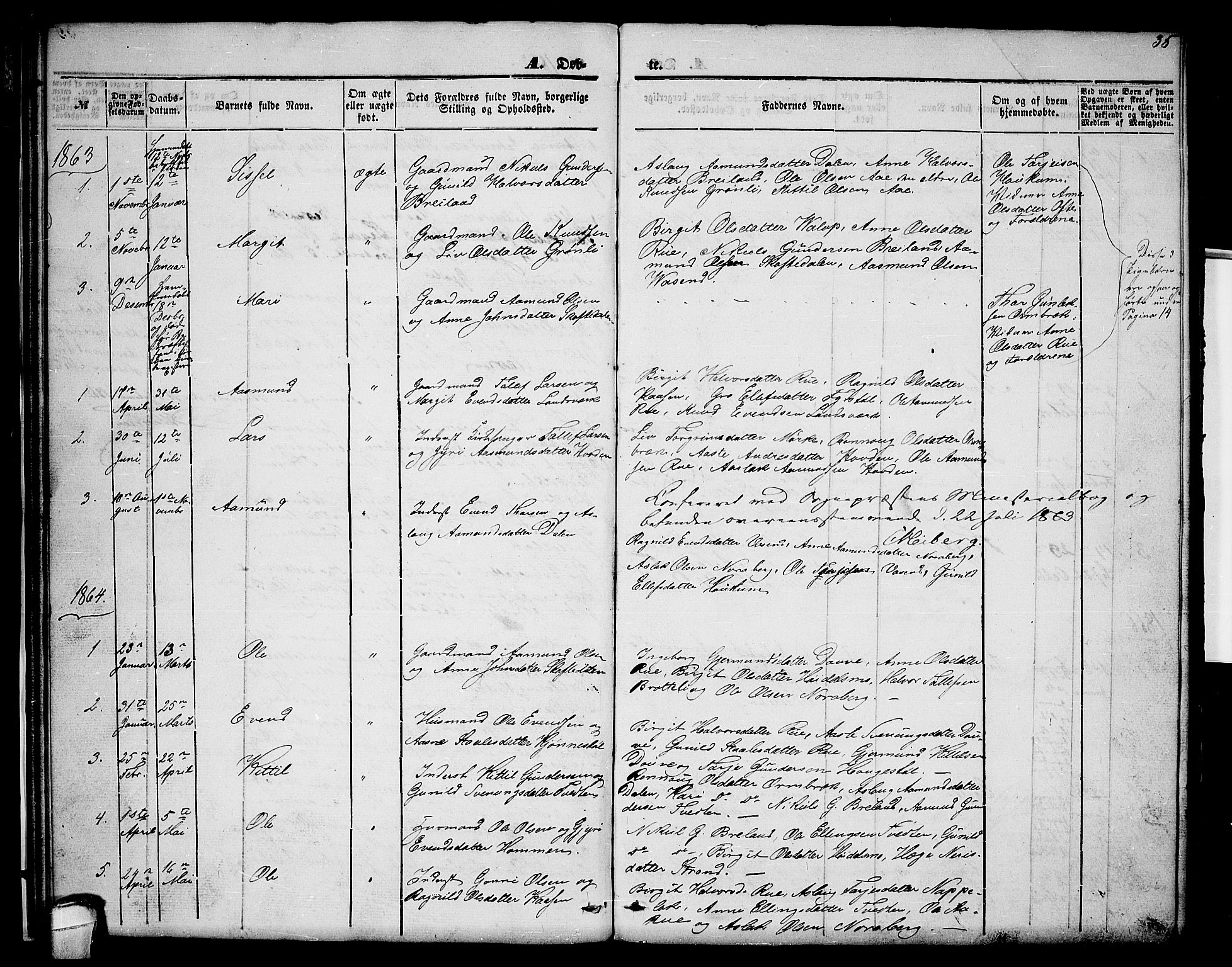 Lårdal kirkebøker, SAKO/A-284/G/Gc/L0002: Parish register (copy) no. III 2, 1852-1877, p. 35