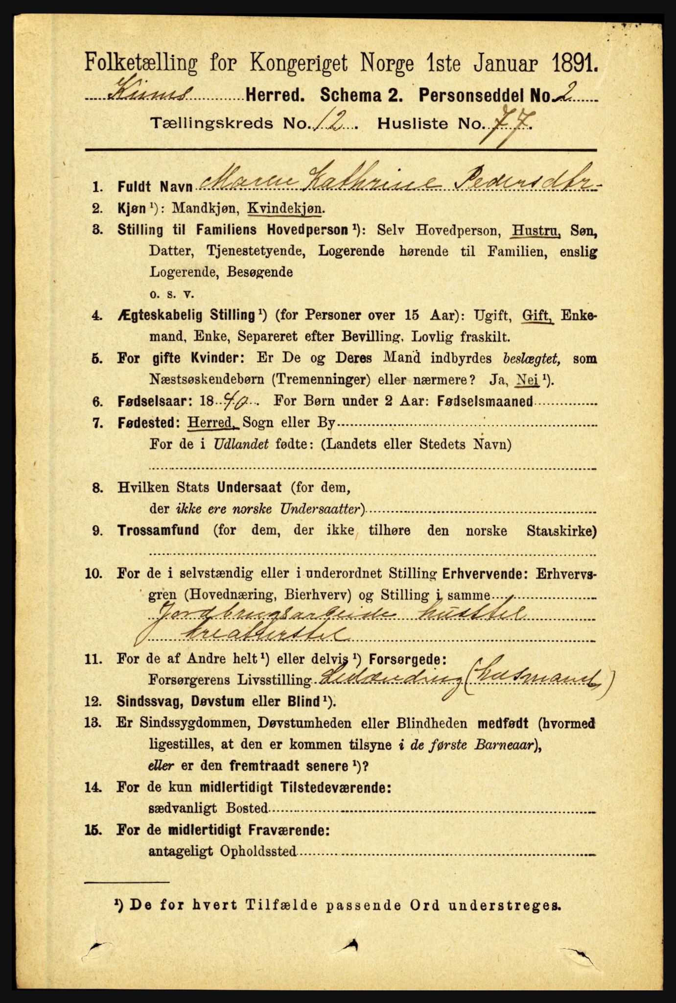 RA, 1891 census for 1437 Kinn, 1891, p. 4991