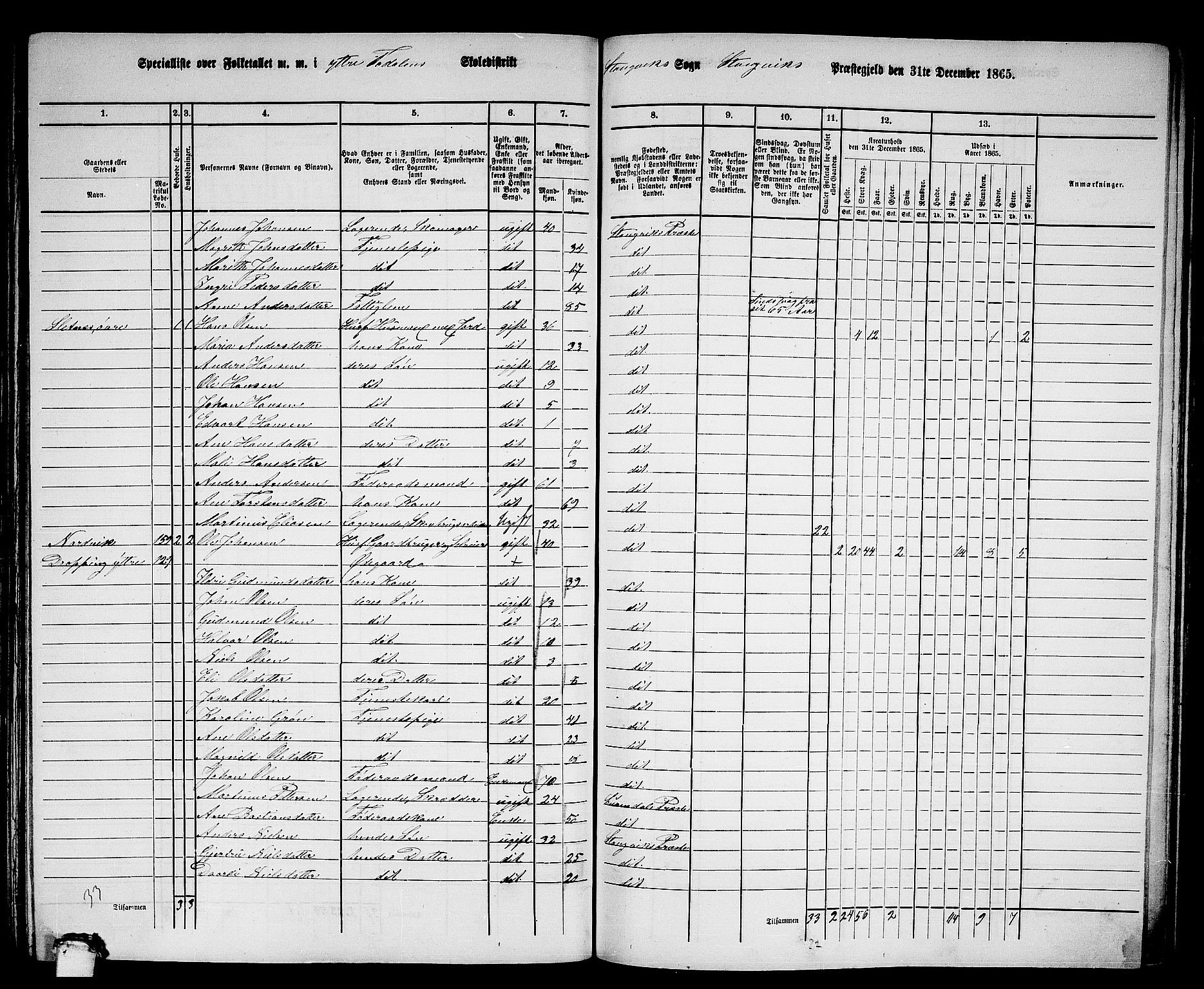 RA, 1865 census for Stangvik, 1865, p. 100