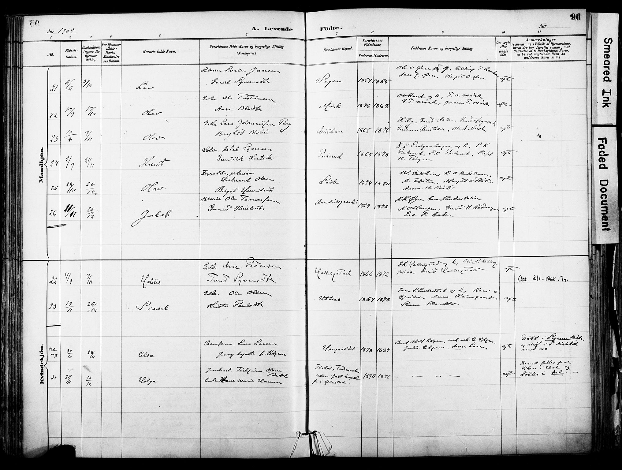 Hol kirkebøker, AV/SAKO-A-227/F/Fa/L0003: Parish register (official) no. I 3, 1887-1918, p. 96