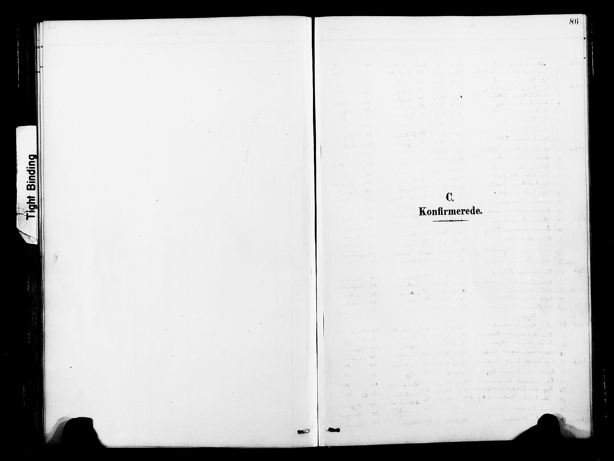 Ministerialprotokoller, klokkerbøker og fødselsregistre - Nord-Trøndelag, SAT/A-1458/713/L0121: Parish register (official) no. 713A10, 1888-1898, p. 86