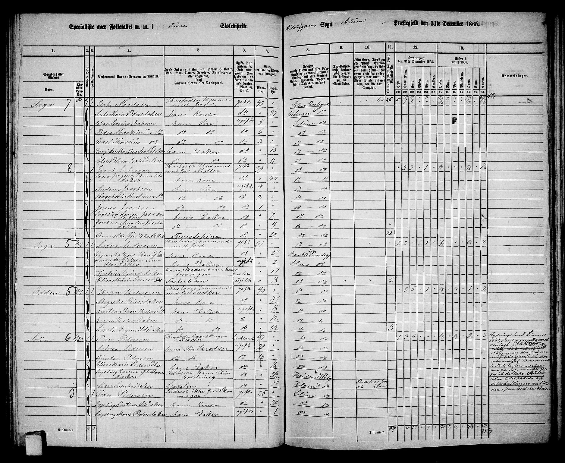 RA, 1865 census for Solum, 1865, p. 138