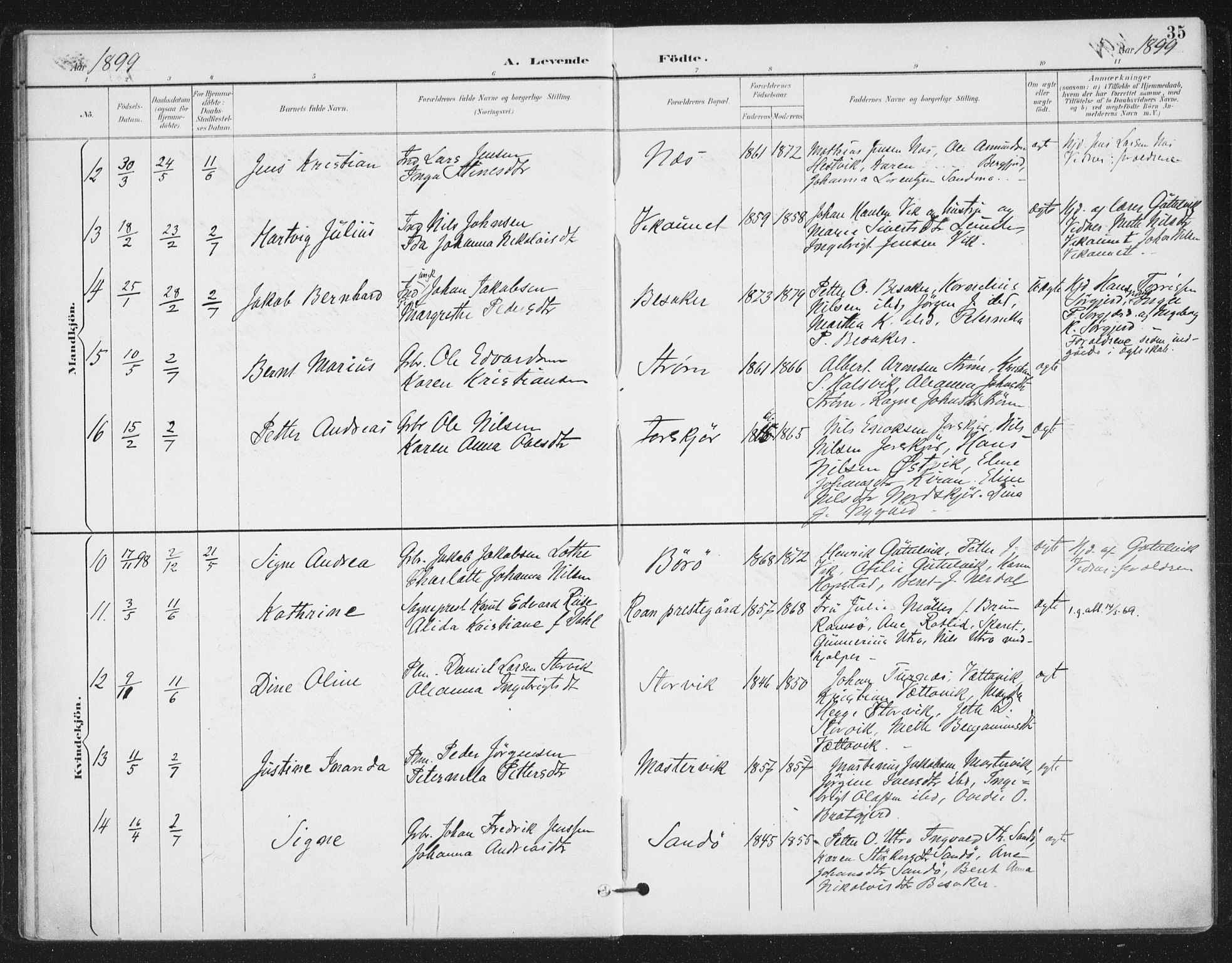 Ministerialprotokoller, klokkerbøker og fødselsregistre - Sør-Trøndelag, AV/SAT-A-1456/657/L0708: Parish register (official) no. 657A09, 1894-1904, p. 35