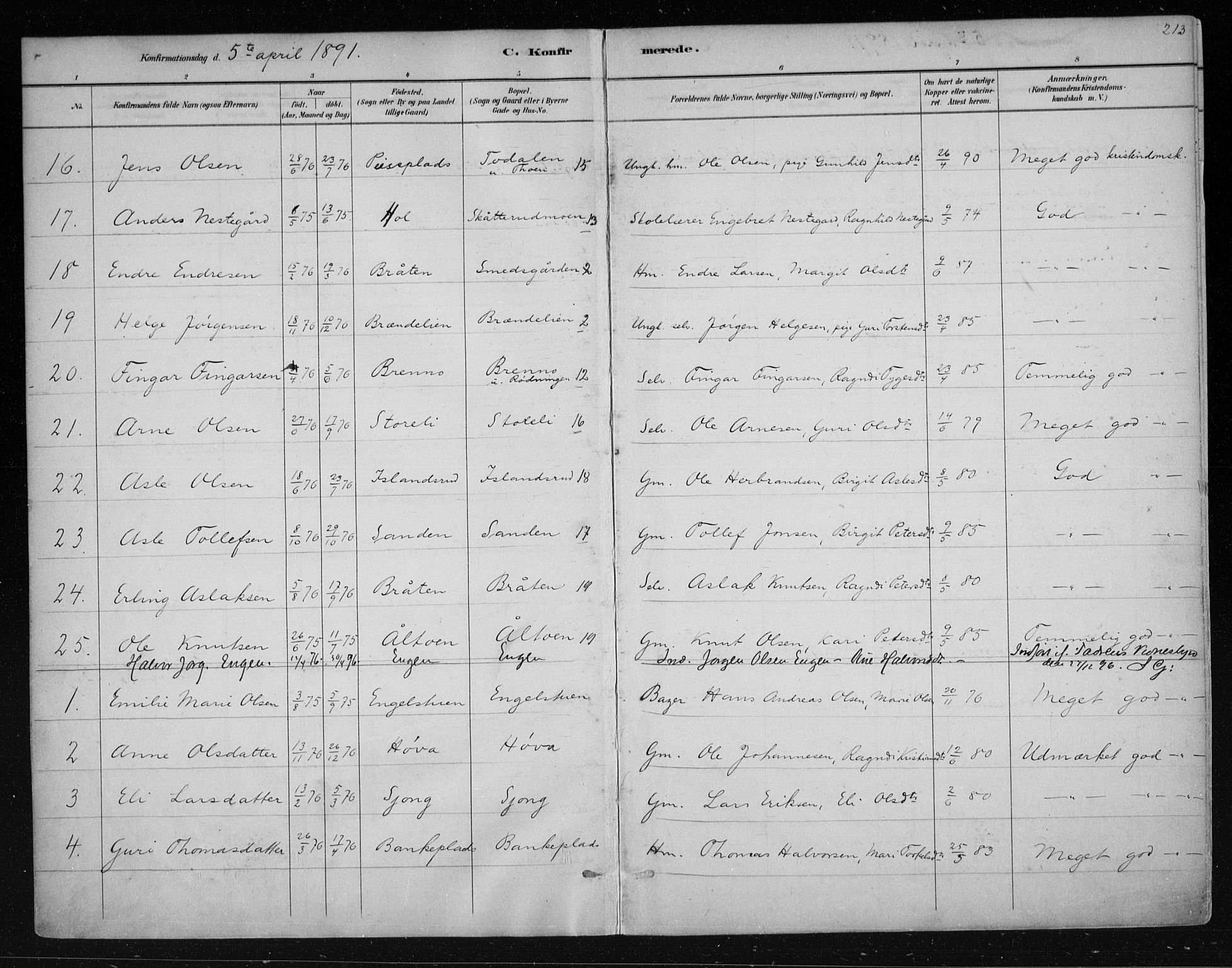 Nes kirkebøker, AV/SAKO-A-236/F/Fa/L0011: Parish register (official) no. 11, 1881-1912, p. 213