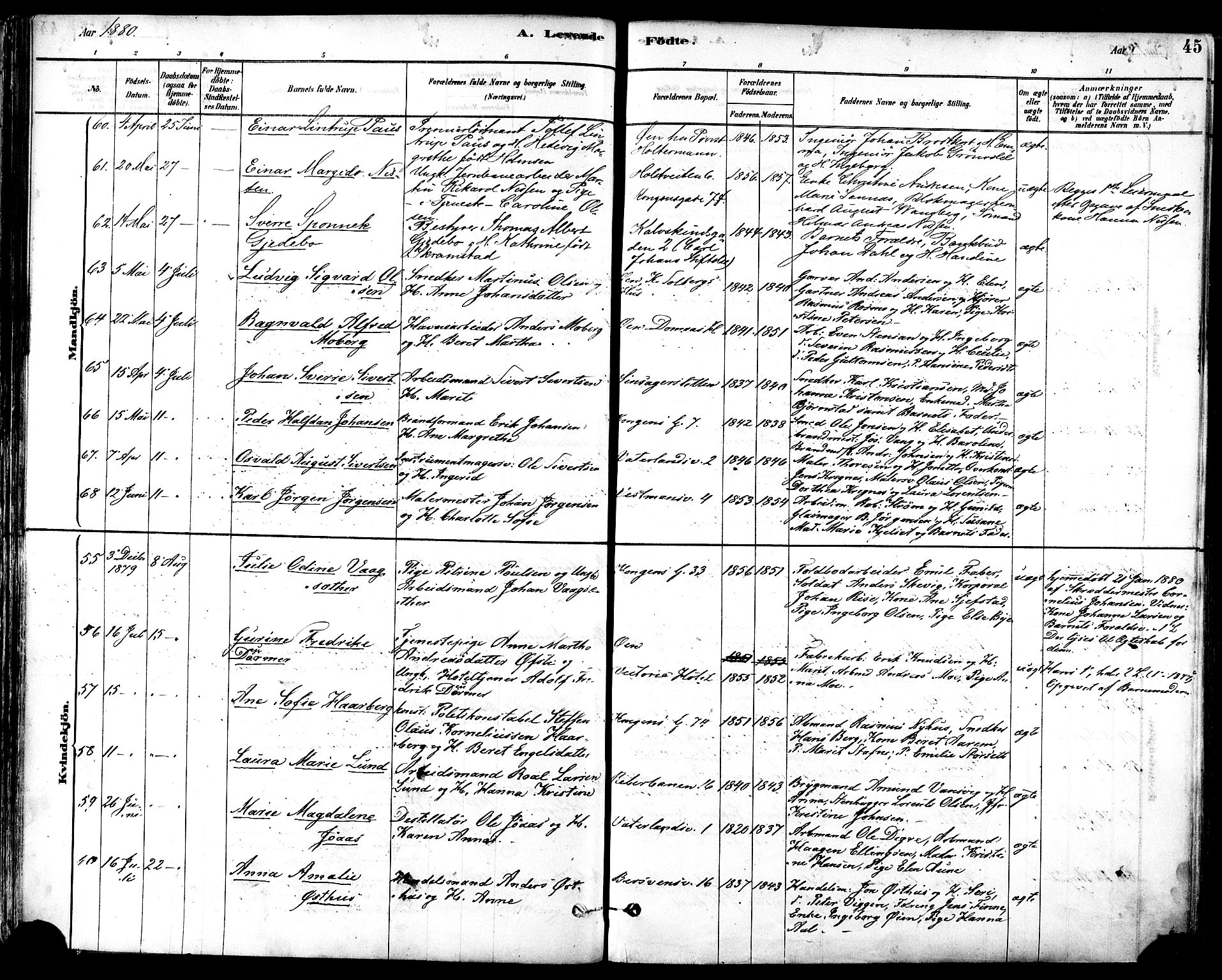 Ministerialprotokoller, klokkerbøker og fødselsregistre - Sør-Trøndelag, SAT/A-1456/601/L0057: Parish register (official) no. 601A25, 1877-1891, p. 45