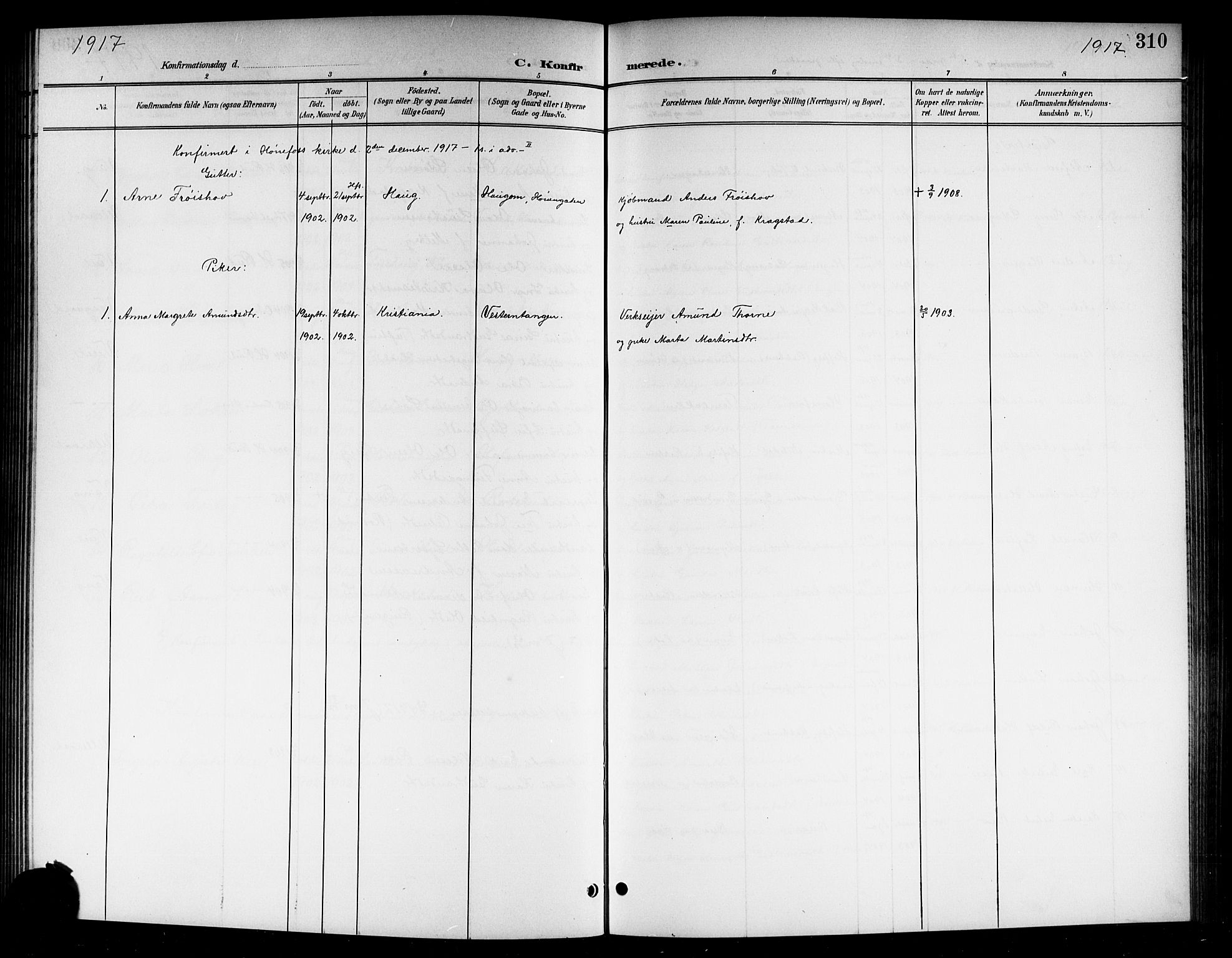 Norderhov kirkebøker, AV/SAKO-A-237/G/Gb/L0002: Parish register (copy) no. II 2, 1891-1921, p. 310