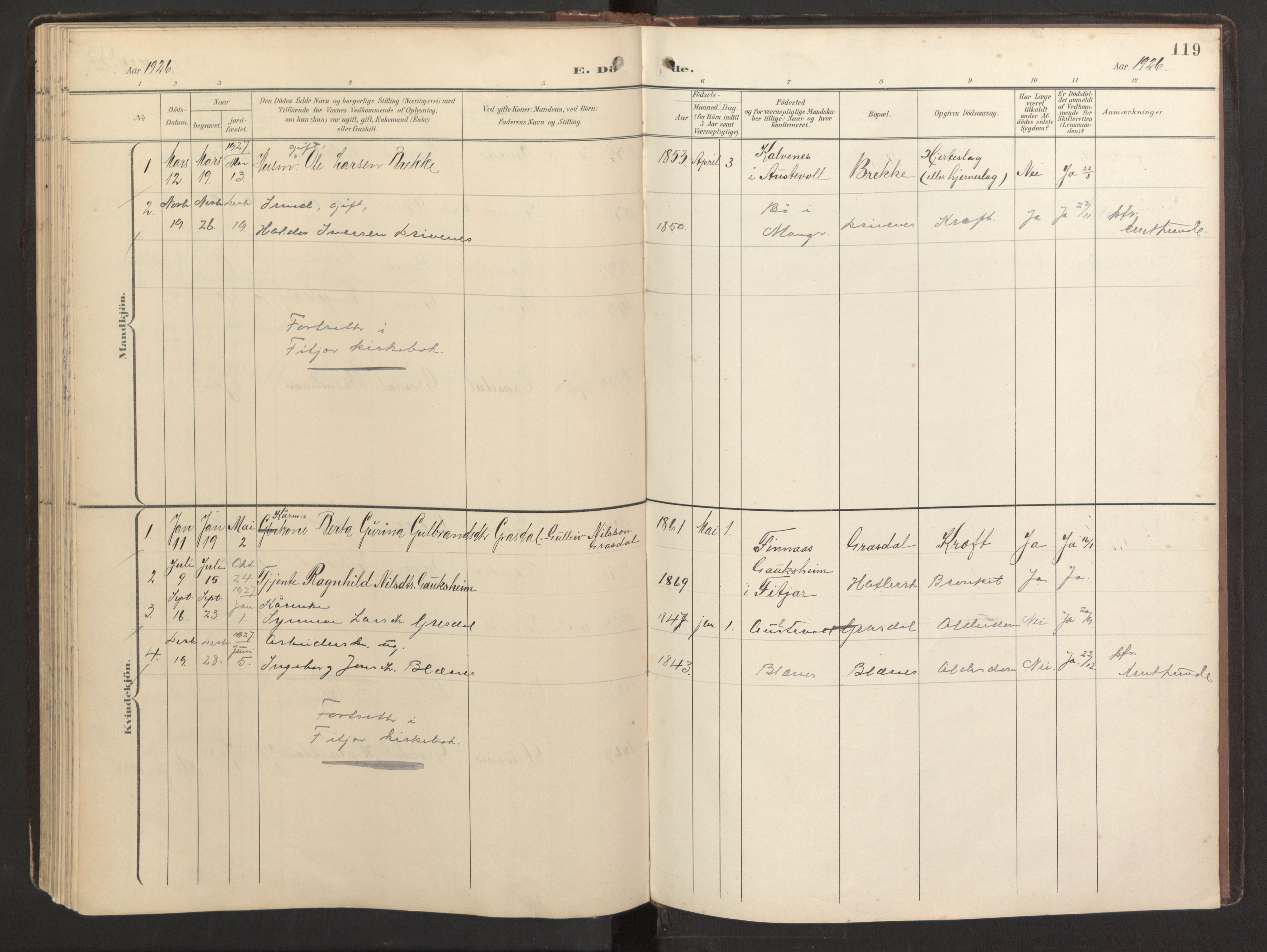 Fitjar sokneprestembete, SAB/A-99926: Parish register (official) no. B 1, 1900-1926, p. 119