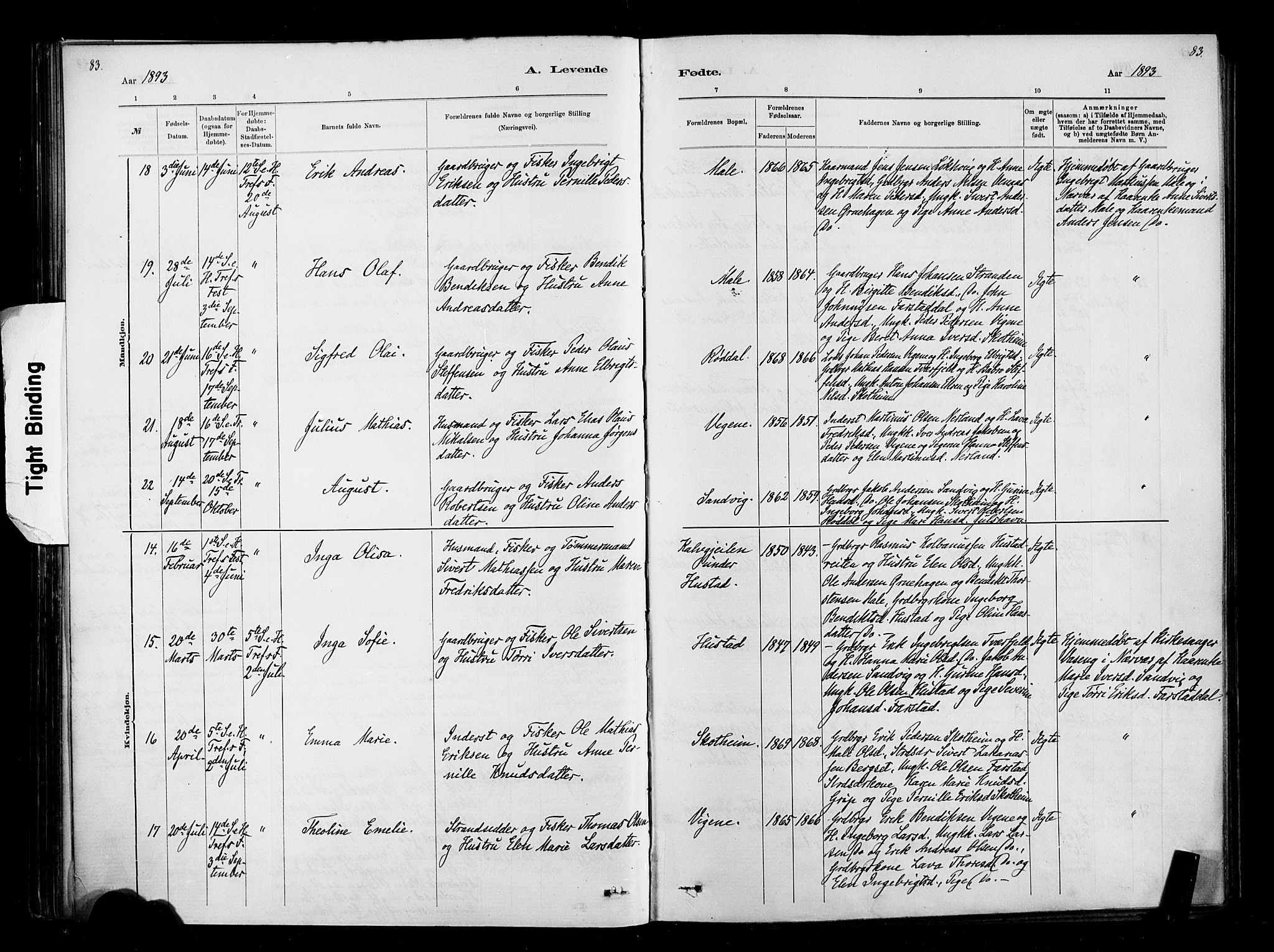 Ministerialprotokoller, klokkerbøker og fødselsregistre - Møre og Romsdal, AV/SAT-A-1454/567/L0778: Parish register (official) no. 567A01, 1881-1903, p. 83