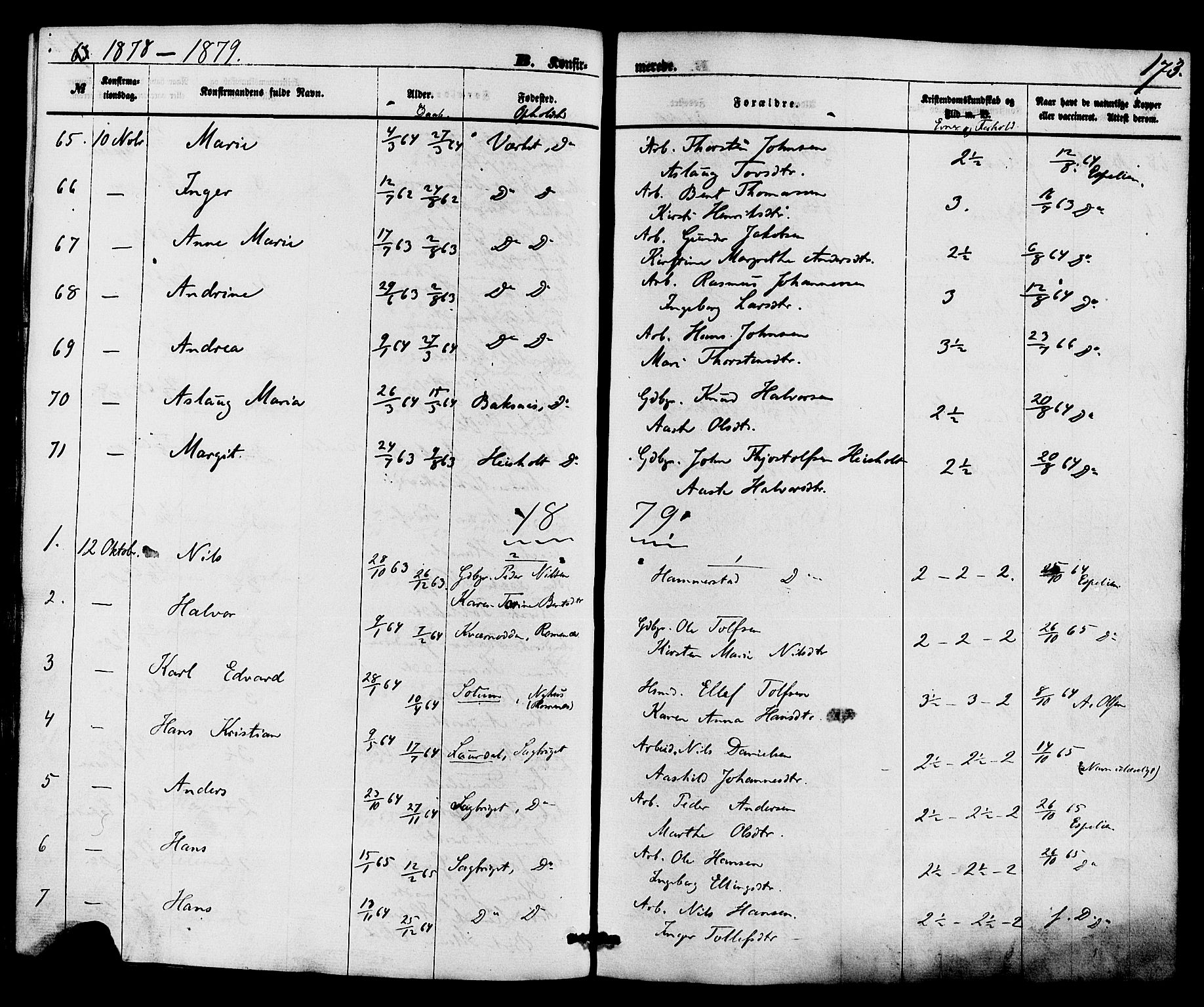 Holla kirkebøker, AV/SAKO-A-272/F/Fa/L0007: Parish register (official) no. 7, 1869-1881, p. 173