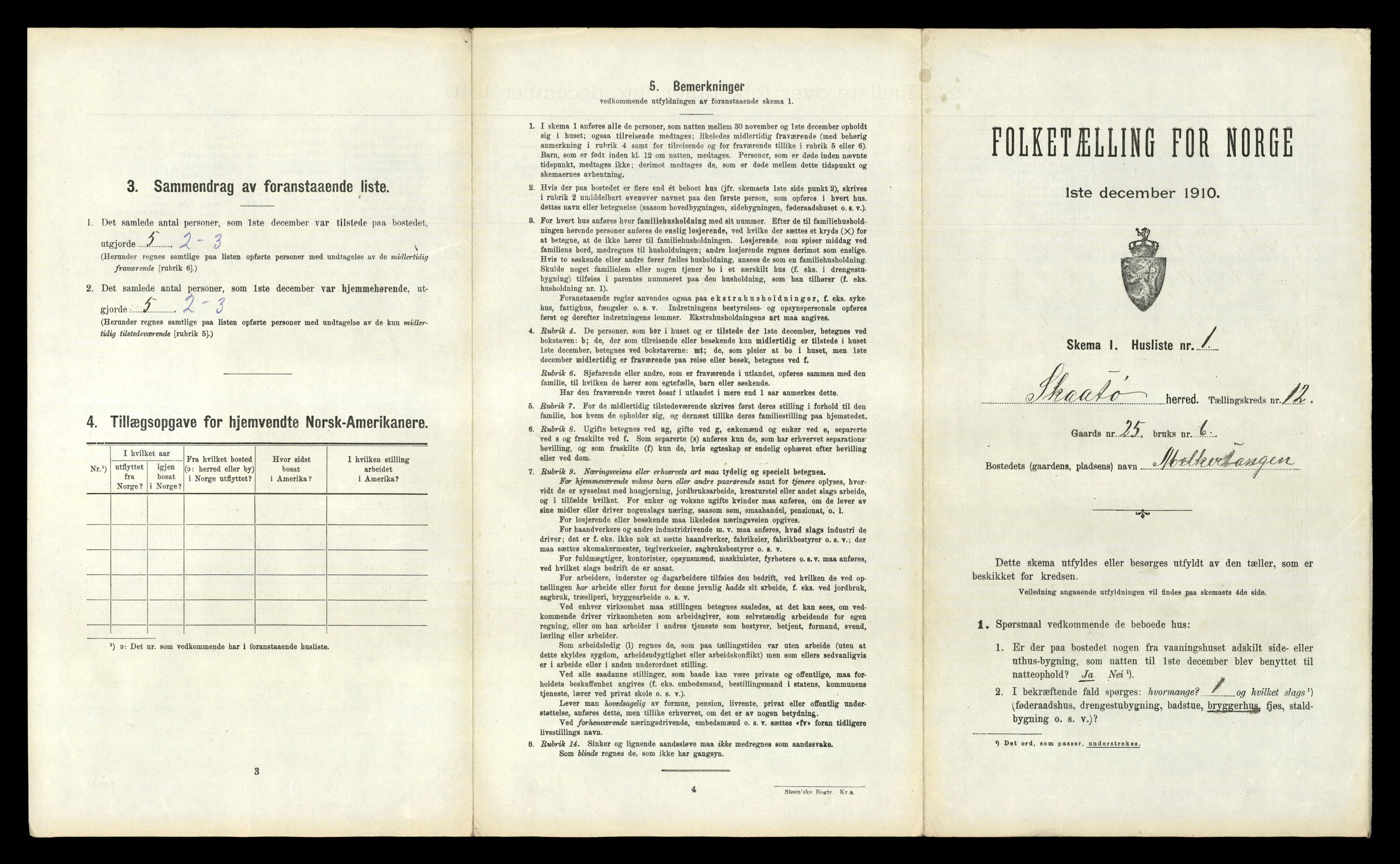 RA, 1910 census for Skåtøy, 1910, p. 1251