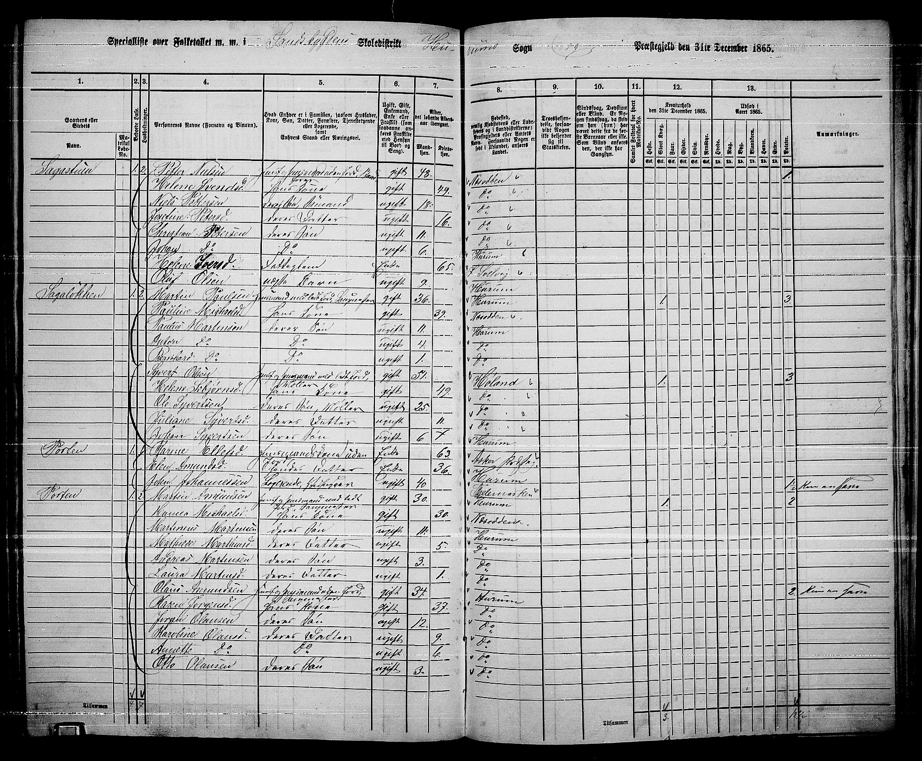 RA, 1865 census for Hurum, 1865, p. 100