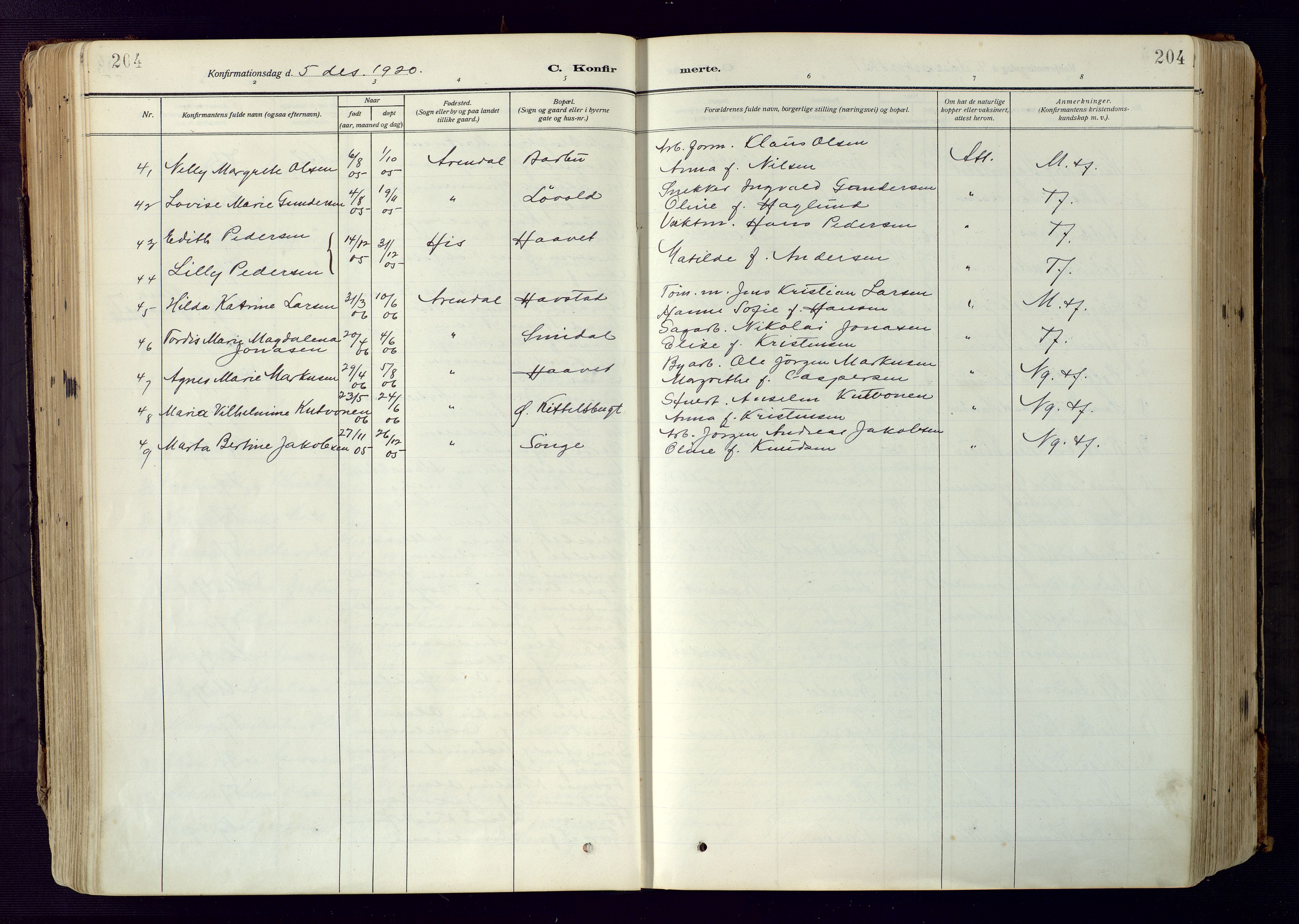 Barbu sokneprestkontor, AV/SAK-1111-0003/F/Fa/L0006: Parish register (official) no. A 6, 1910-1929, p. 204