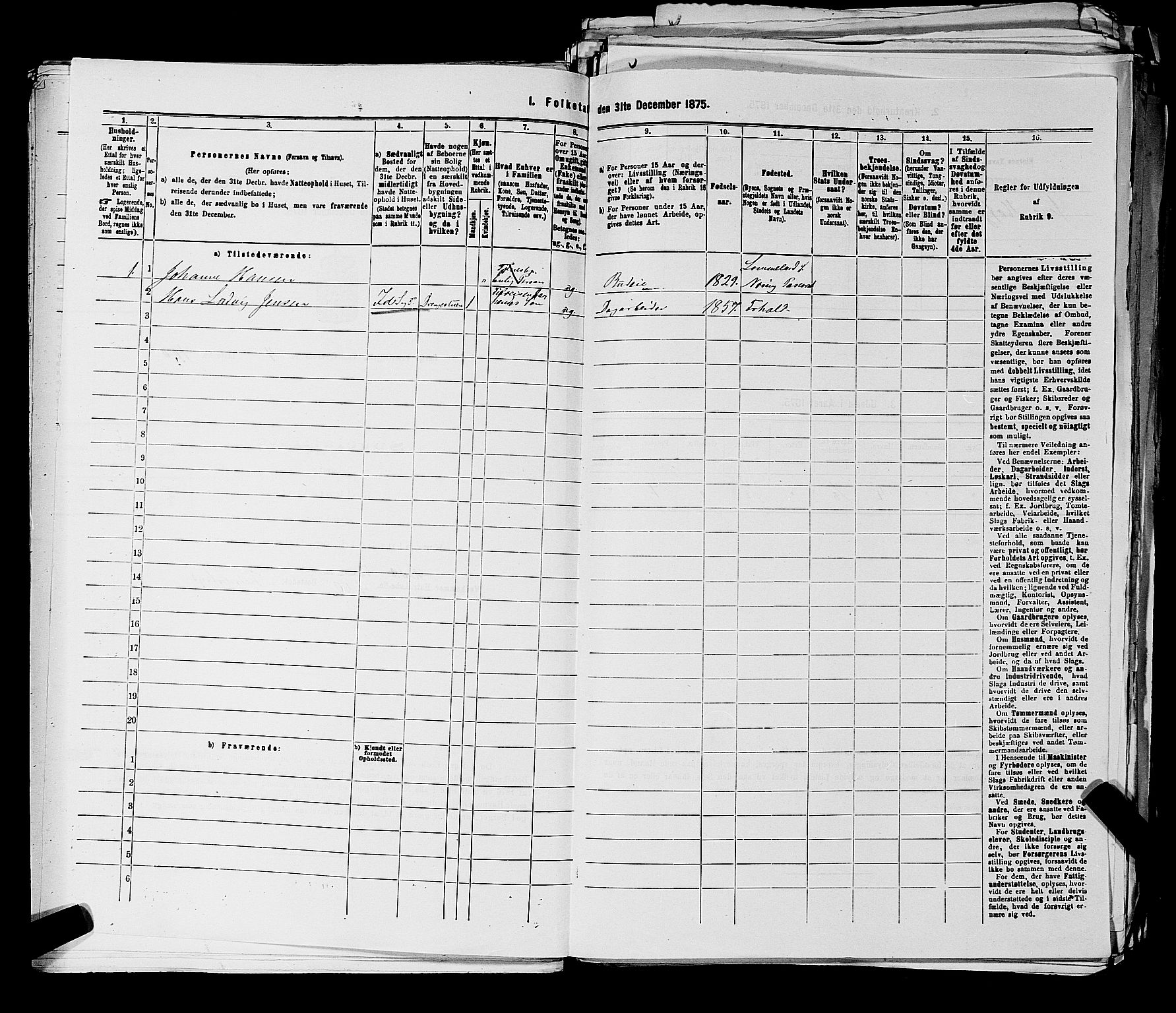 RA, 1875 census for 0116P Berg, 1875, p. 517