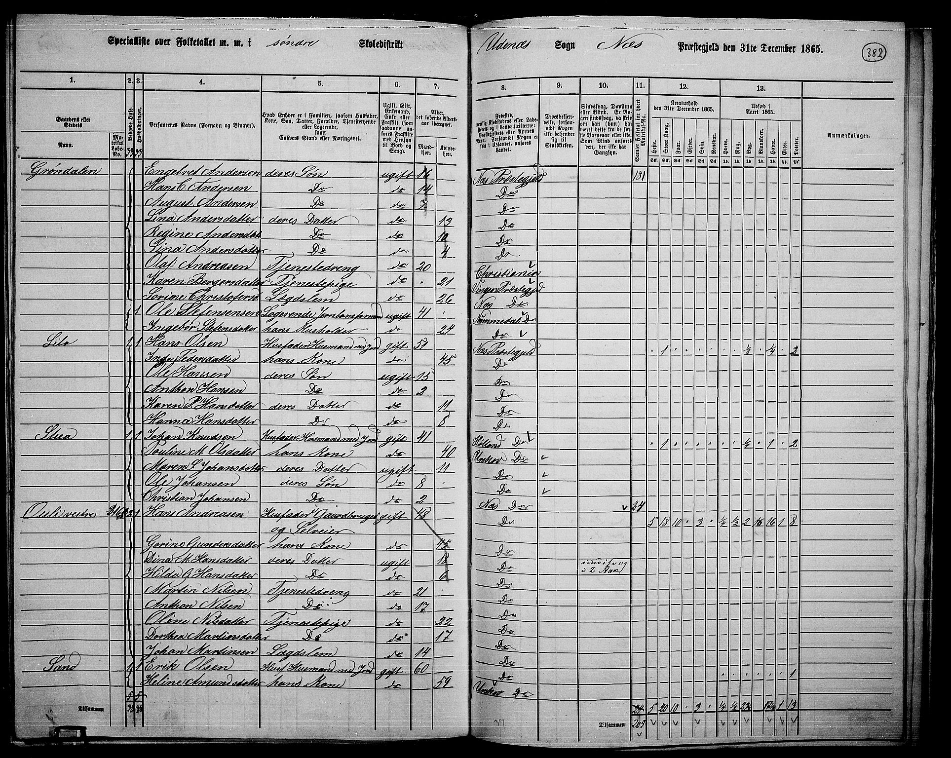 RA, 1865 census for Nes, 1865, p. 348