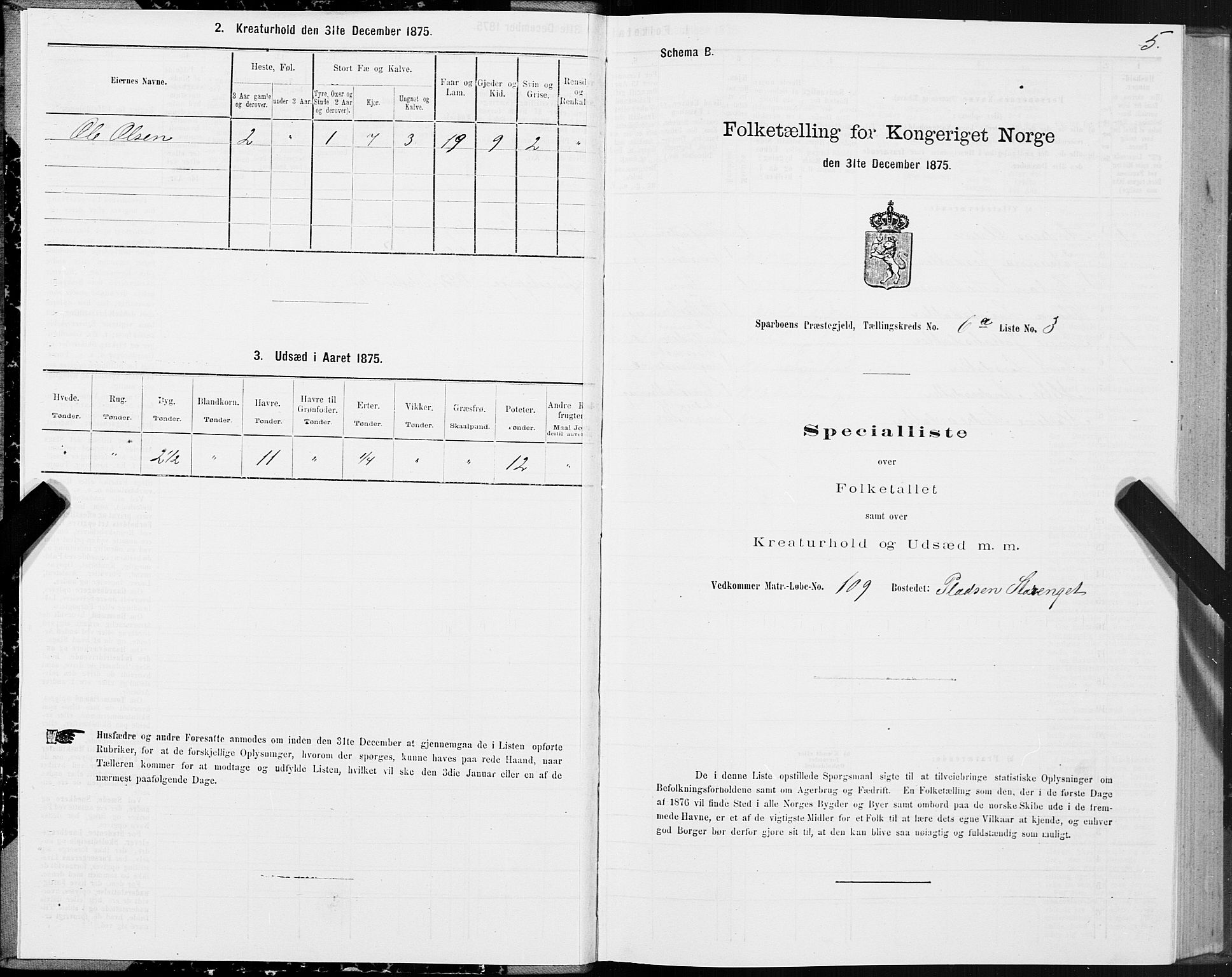 SAT, 1875 census for 1731P Sparbu, 1875, p. 3005