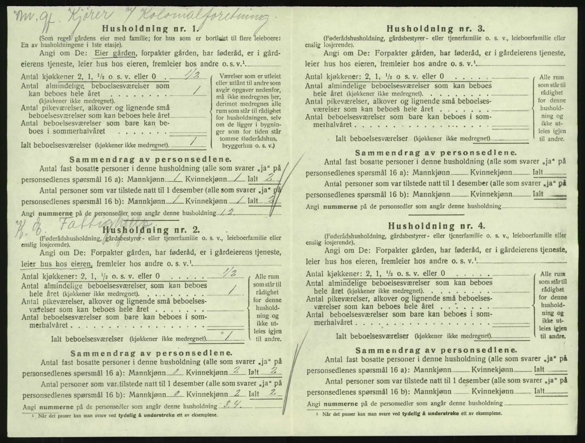 SAKO, 1920 census for Hedrum, 1920, p. 594