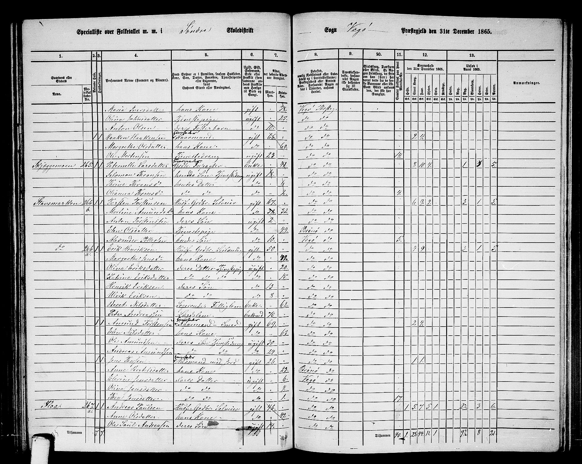 RA, 1865 census for Vega, 1865, p. 37