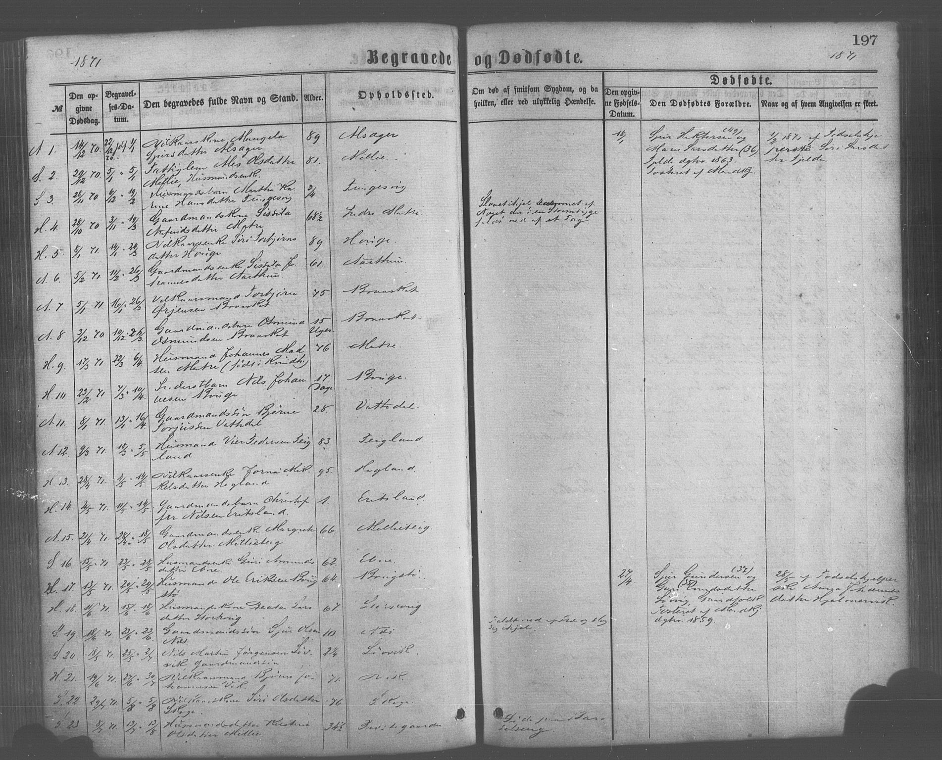 Skånevik sokneprestembete, AV/SAB-A-77801/H/Haa: Parish register (official) no. A 6, 1869-1878, p. 197