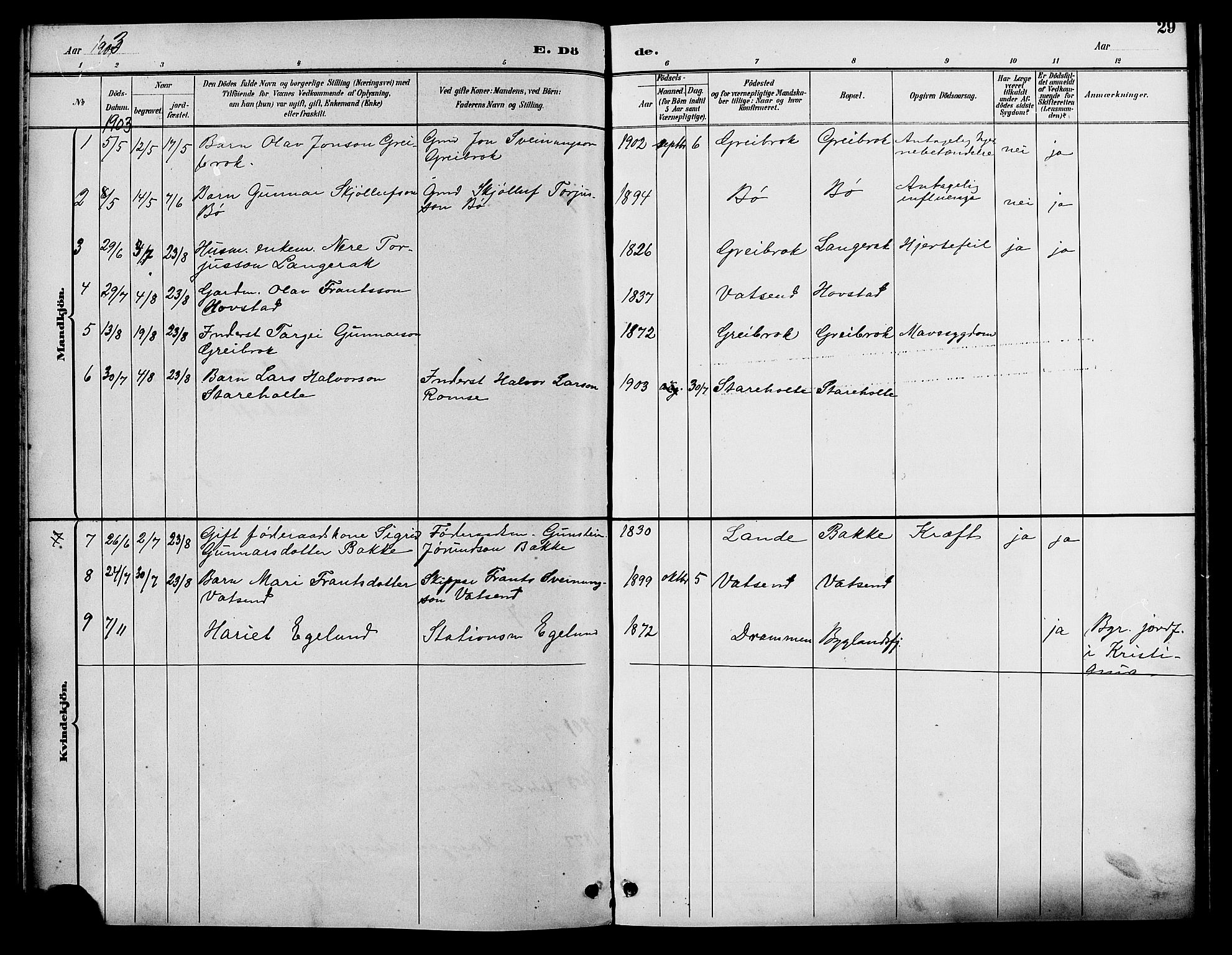 Bygland sokneprestkontor, AV/SAK-1111-0006/F/Fb/Fbd/L0002: Parish register (copy) no. B 2, 1894-1909, p. 29