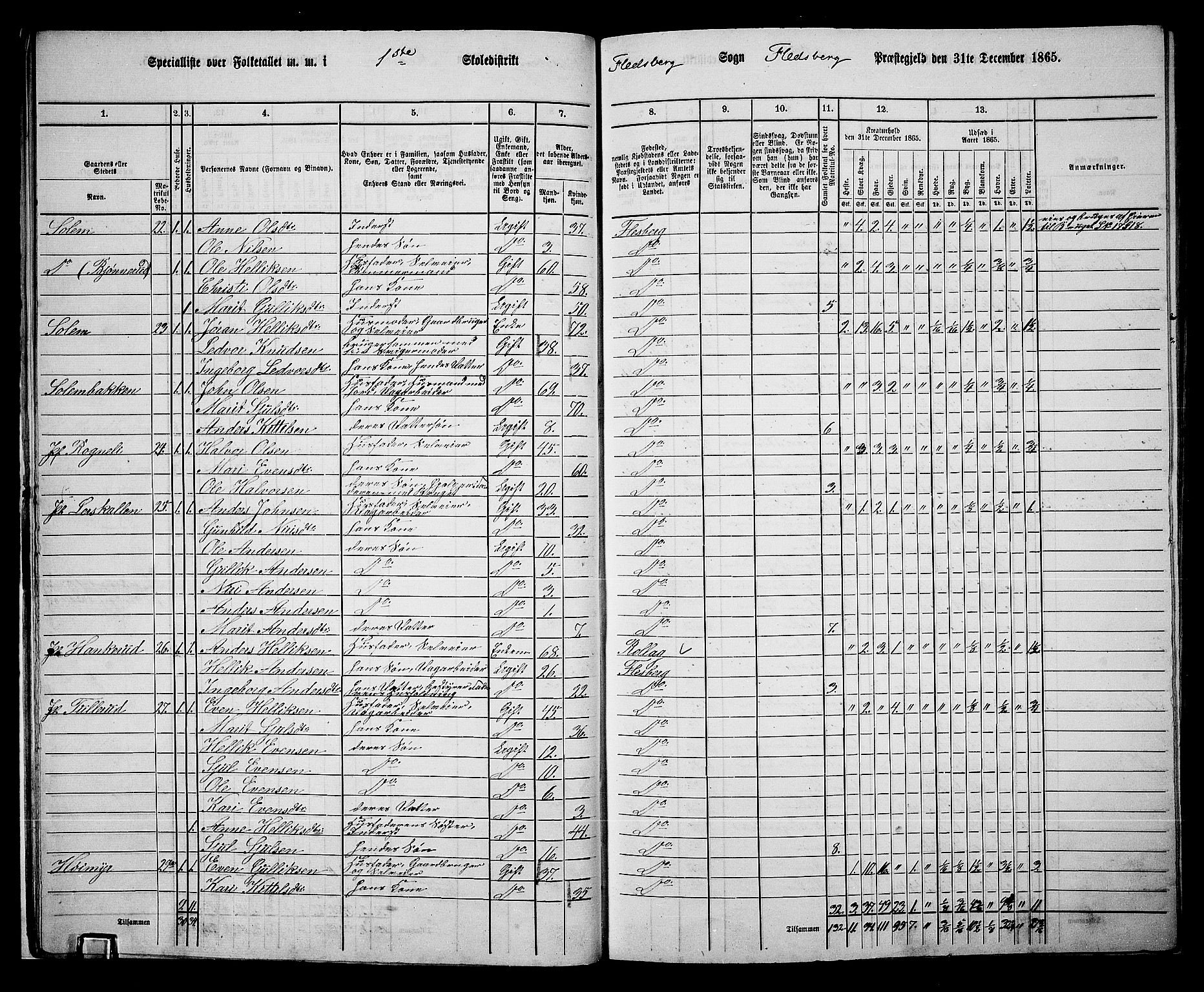 RA, 1865 census for Flesberg, 1865, p. 17