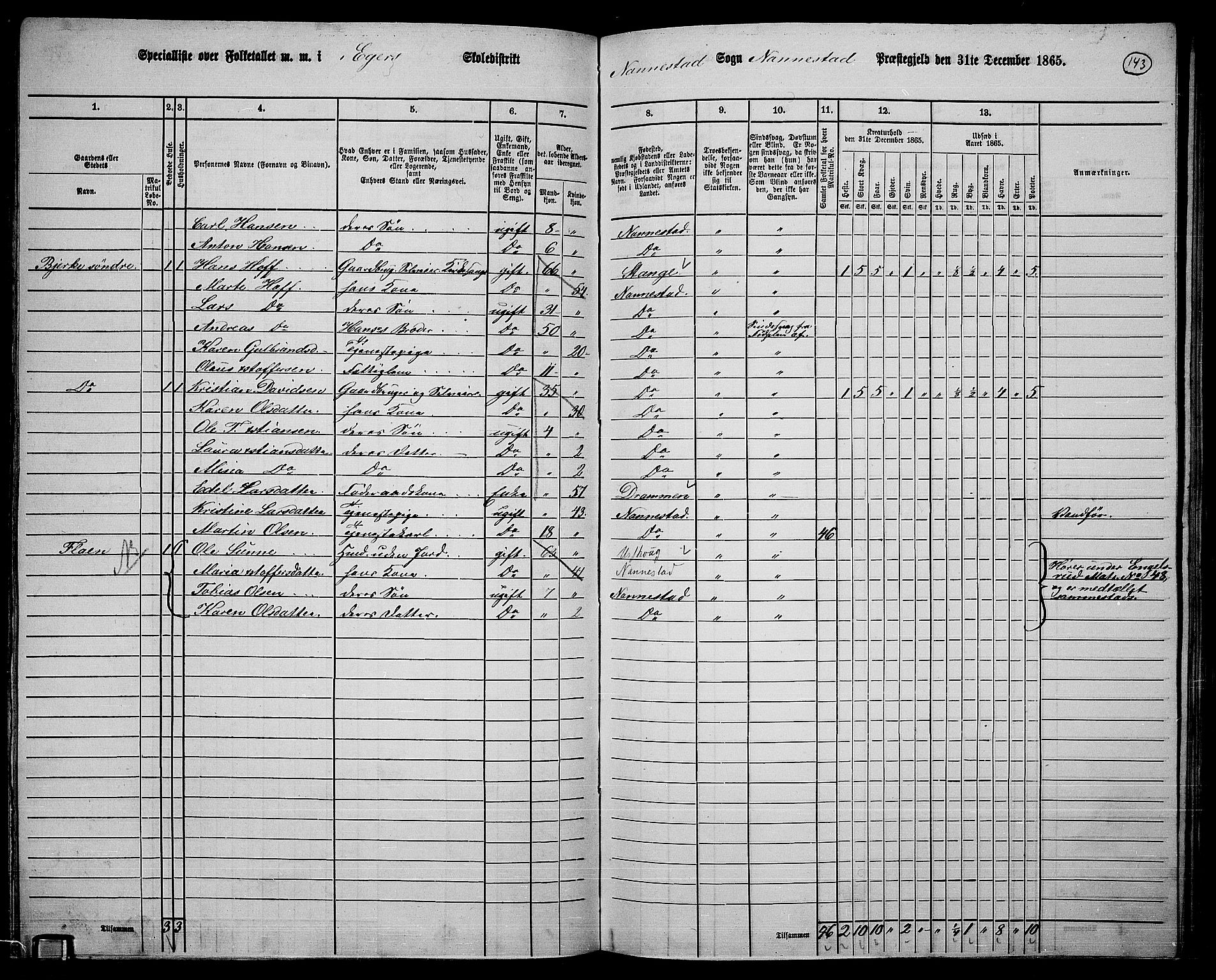 RA, 1865 census for Nannestad, 1865, p. 29