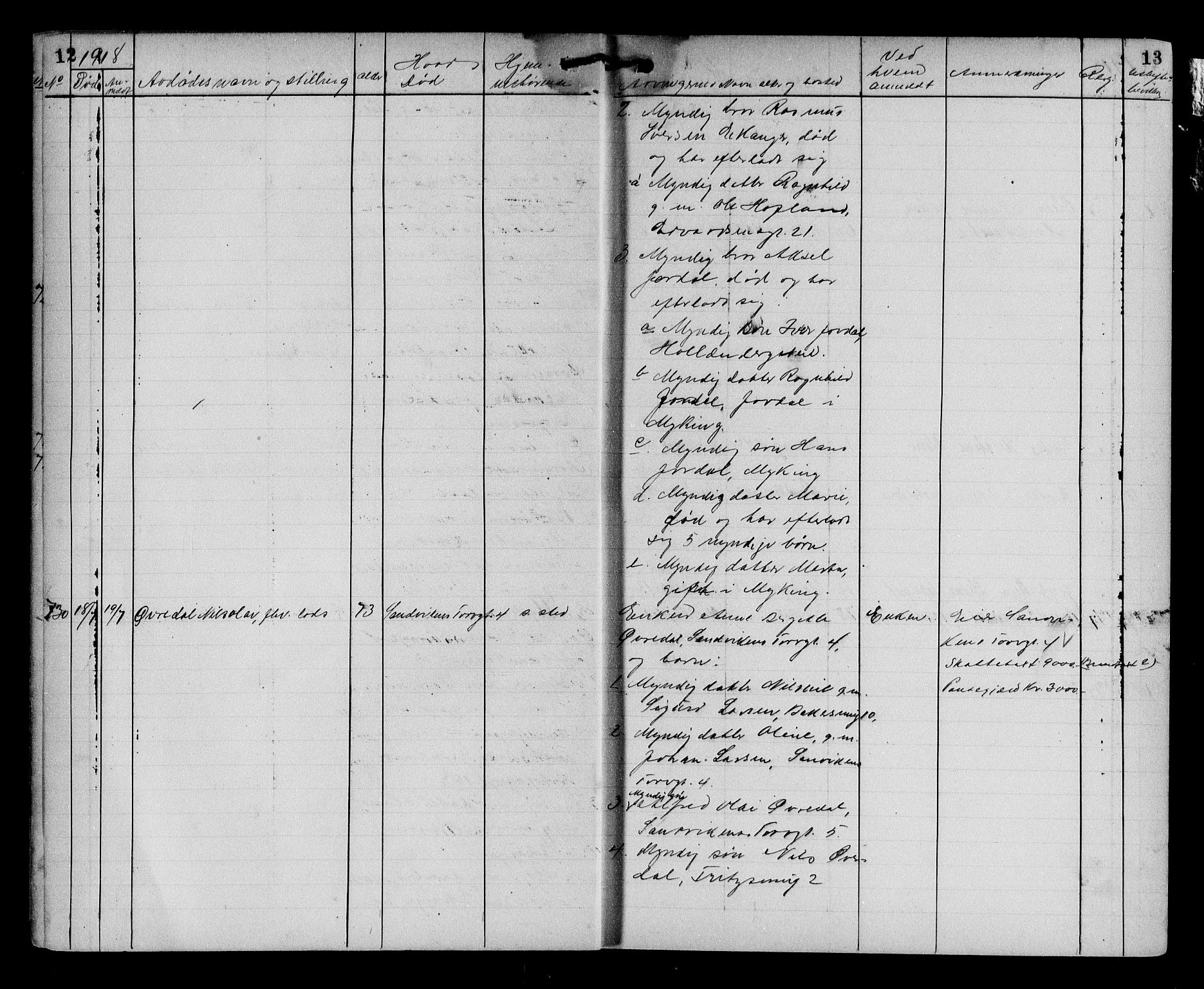 Byfogd og Byskriver i Bergen, AV/SAB-A-3401/06/06Na/L0012: Dødsfallsjournaler, 1918-1919, p. 12-13