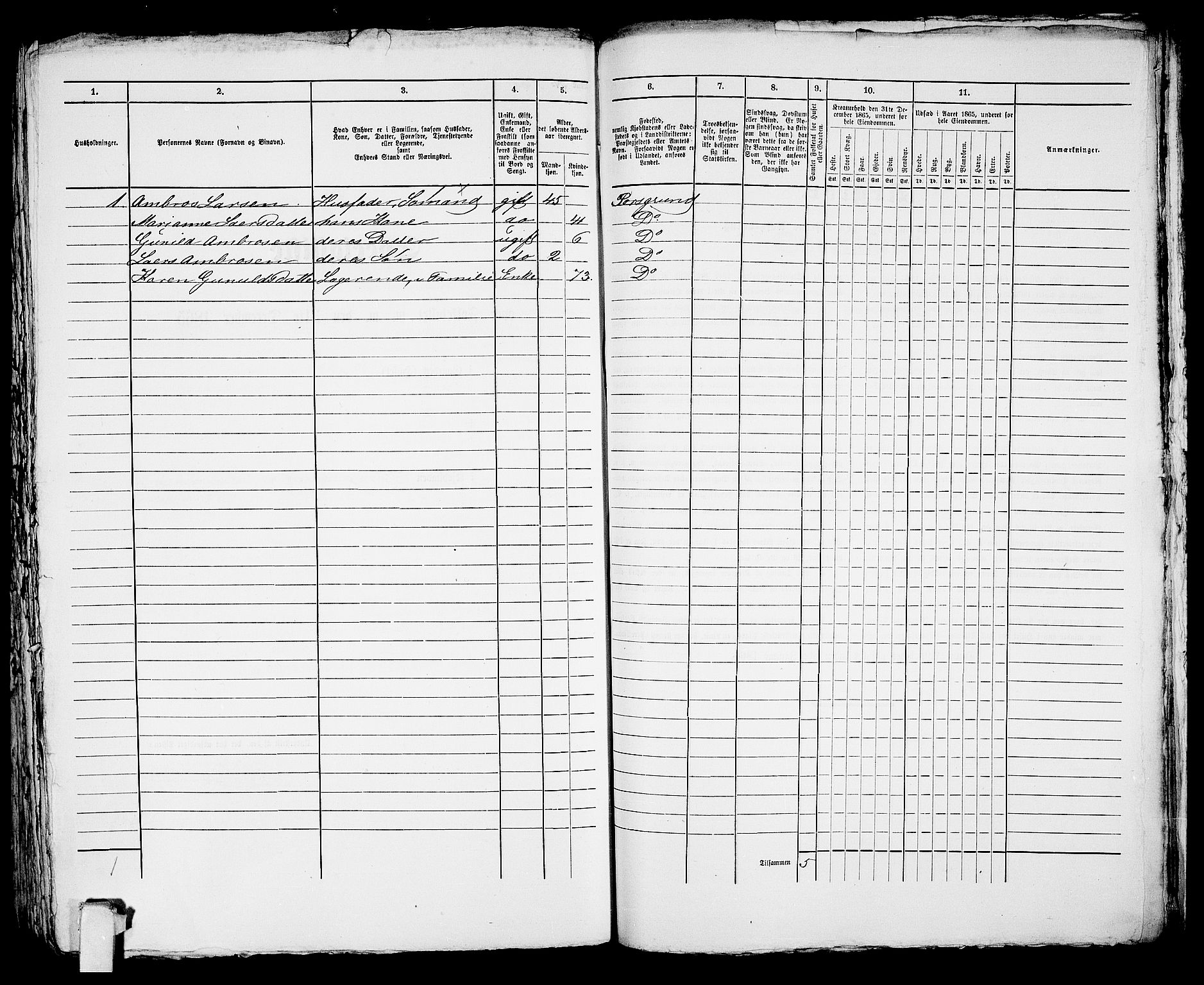 RA, 1865 census for Porsgrunn, 1865, p. 371