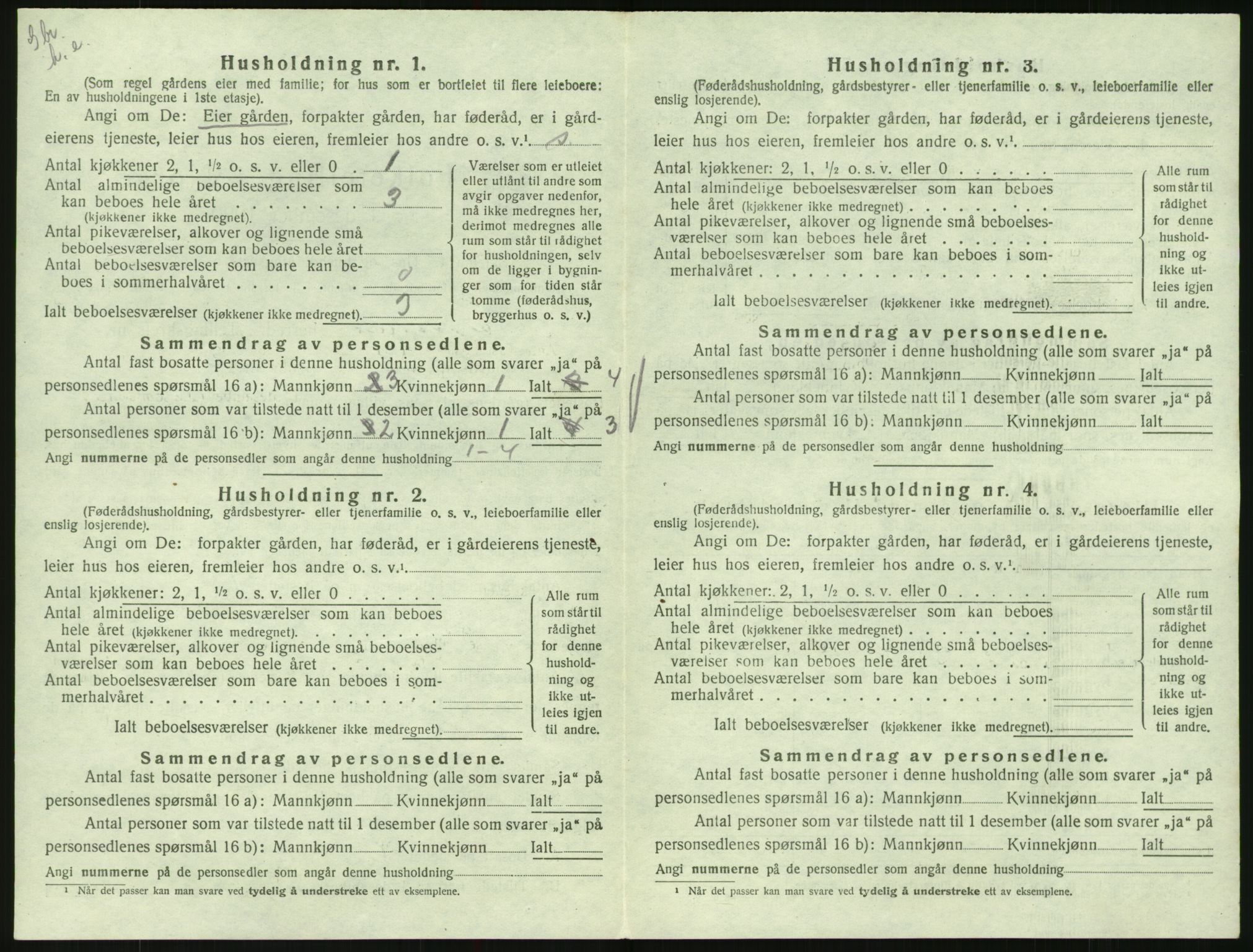 SAK, 1920 census for Hornnes, 1920, p. 520