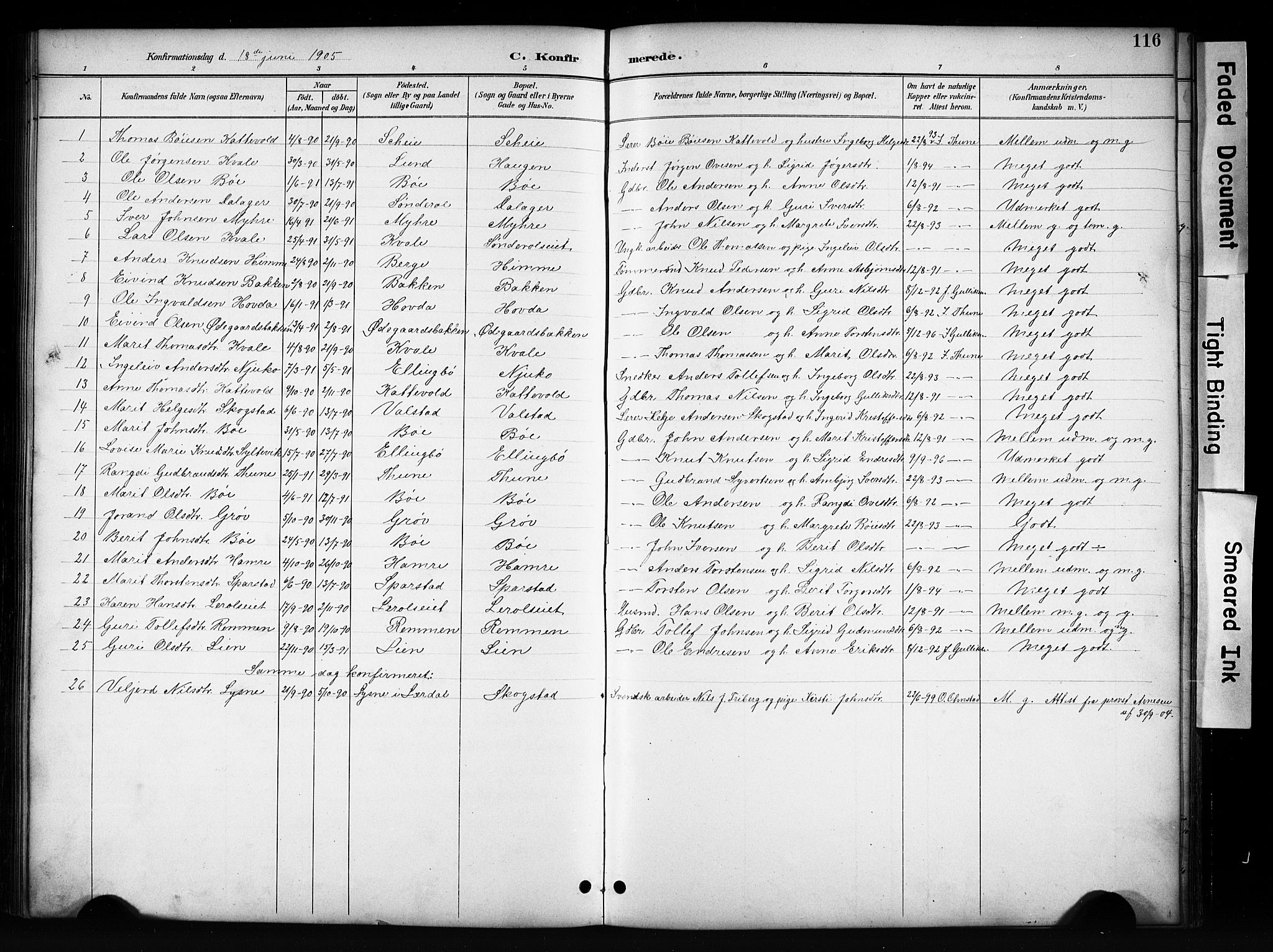 Vang prestekontor, Valdres, SAH/PREST-140/H/Hb/L0006: Parish register (copy) no. 6, 1893-1918, p. 116