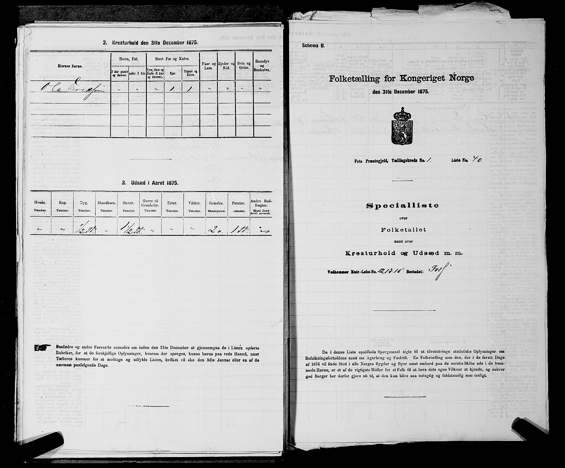 RA, 1875 census for 0227P Fet, 1875, p. 197