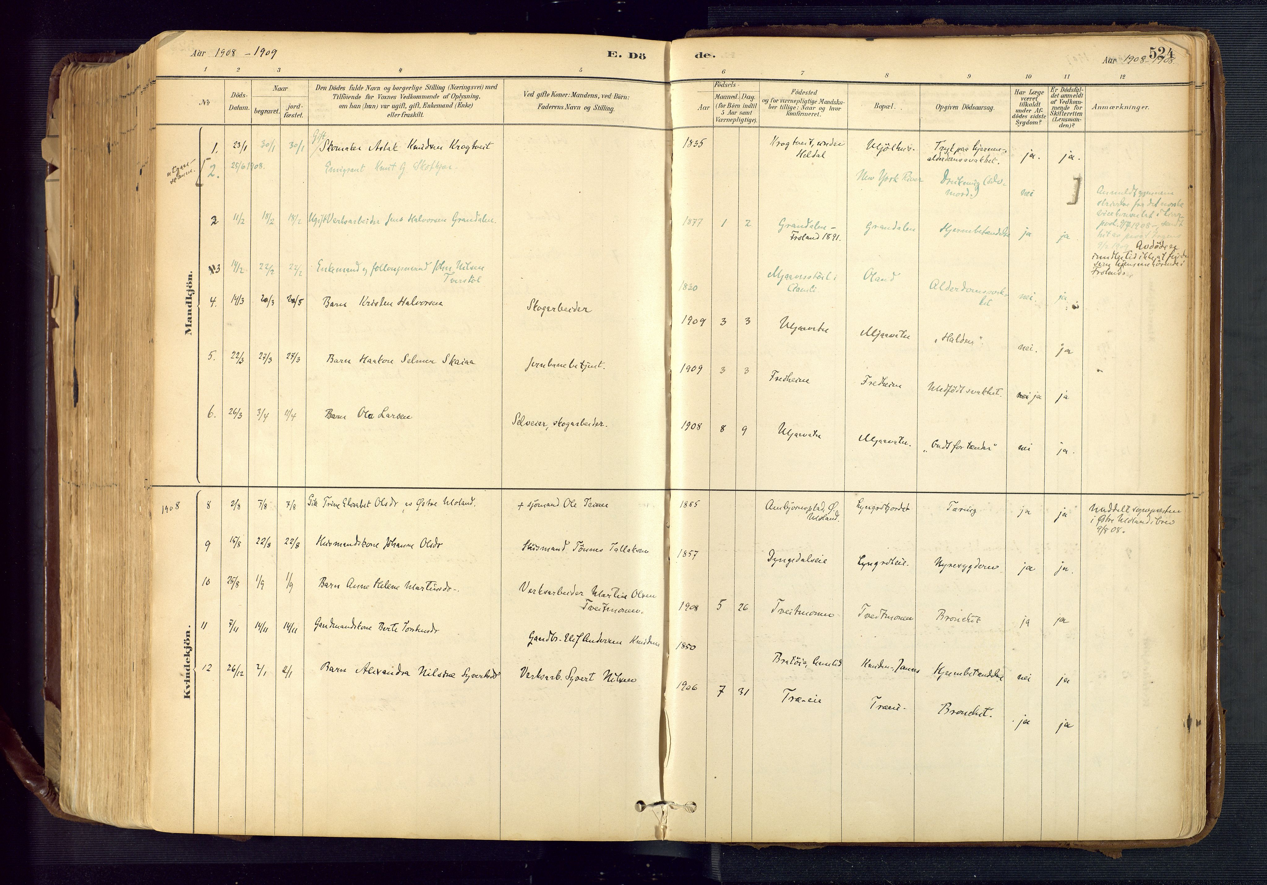 Froland sokneprestkontor, SAK/1111-0013/F/Fa/L0005: Parish register (official) no. A 5, 1882-1921, p. 524