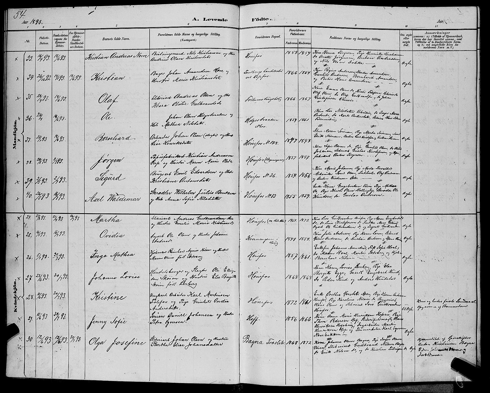 Hønefoss kirkebøker, SAKO/A-609/G/Ga/L0002: Parish register (copy) no. 2, 1888-1904, p. 54