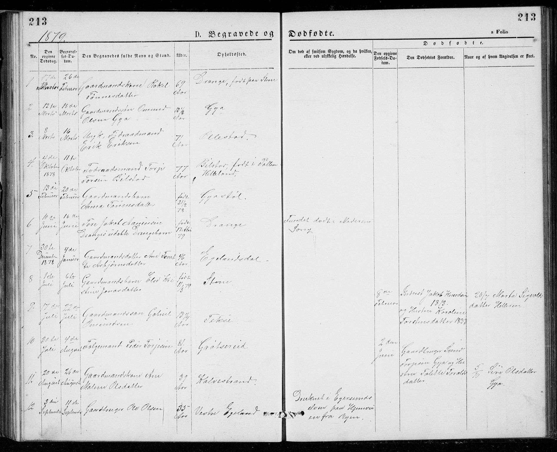 Lund sokneprestkontor, AV/SAST-A-101809/S07/L0005: Parish register (copy) no. B 5, 1875-1889, p. 213