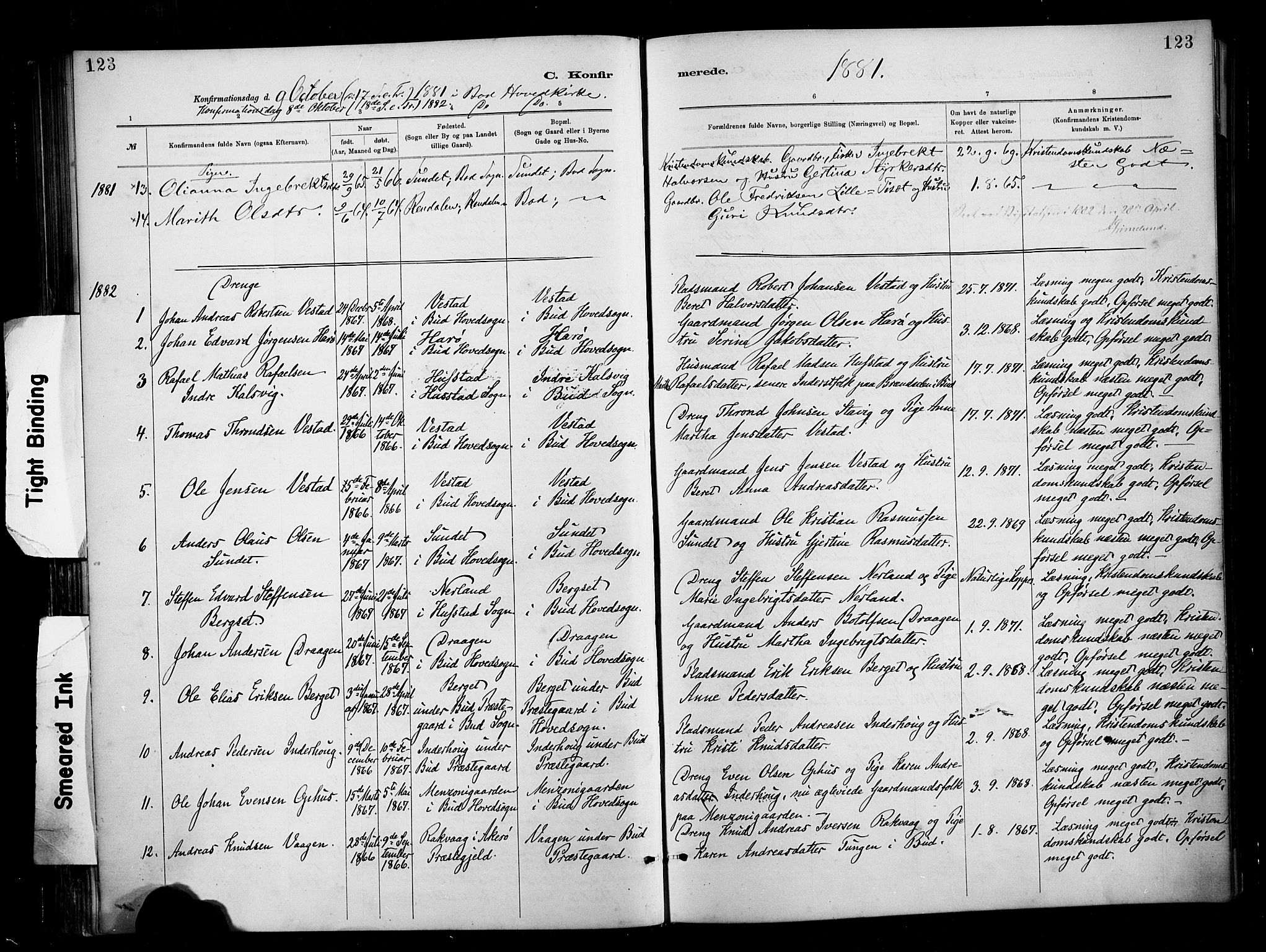 Ministerialprotokoller, klokkerbøker og fødselsregistre - Møre og Romsdal, SAT/A-1454/566/L0769: Parish register (official) no. 566A08, 1881-1903, p. 123