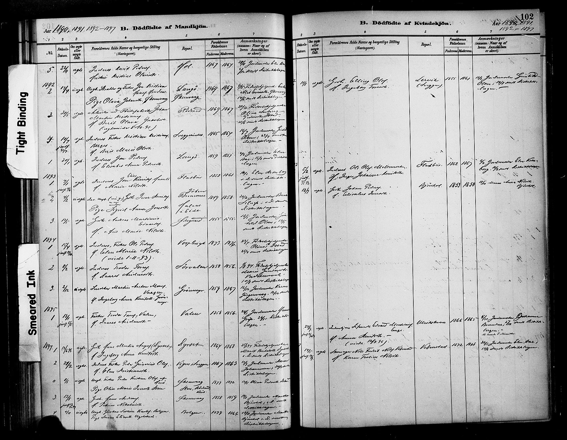 Ministerialprotokoller, klokkerbøker og fødselsregistre - Møre og Romsdal, SAT/A-1454/569/L0819: Parish register (official) no. 569A05, 1885-1899, p. 102