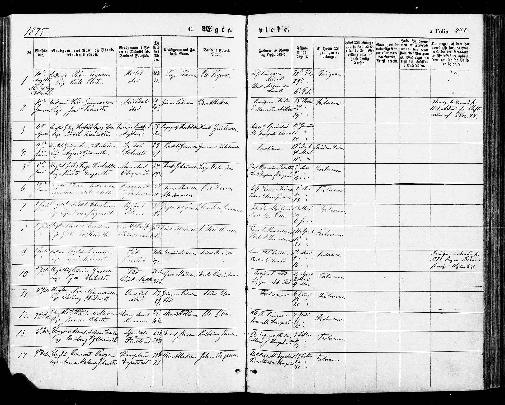 Sirdal sokneprestkontor, AV/SAK-1111-0036/F/Fa/Fab/L0003: Parish register (official) no. A 3, 1874-1886, p. 227