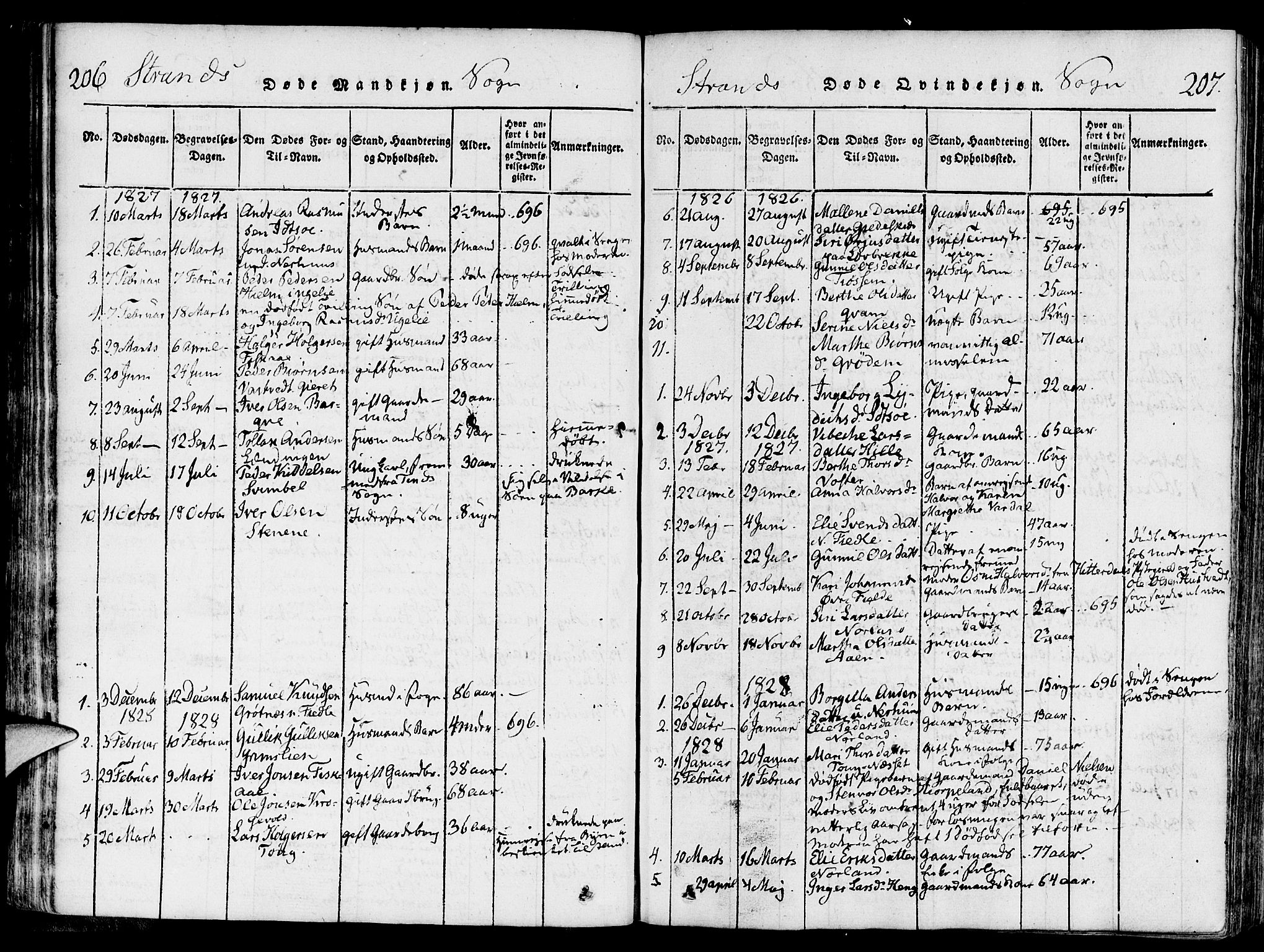 Strand sokneprestkontor, AV/SAST-A-101828/H/Ha/Haa/L0004: Parish register (official) no. A 4 /1, 1816-1833, p. 206-207