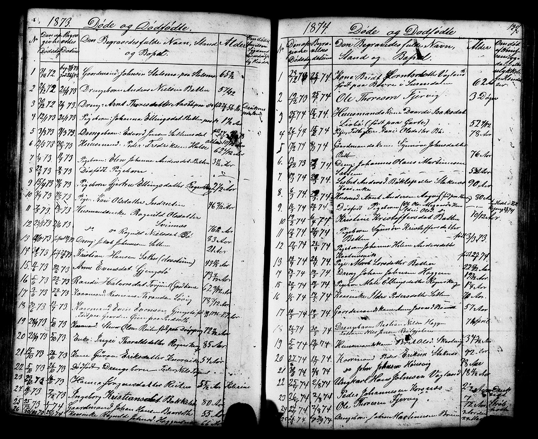 Ministerialprotokoller, klokkerbøker og fødselsregistre - Møre og Romsdal, SAT/A-1454/576/L0890: Parish register (copy) no. 576C01, 1837-1908, p. 137