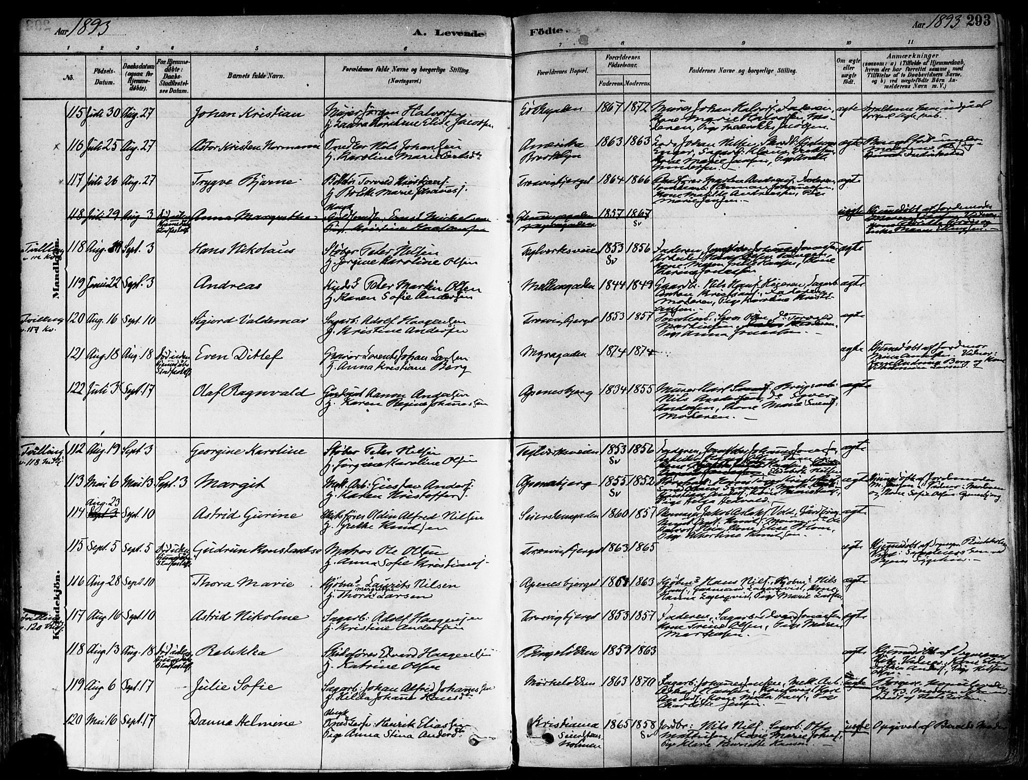 Fredrikstad domkirkes prestekontor Kirkebøker, SAO/A-10906/F/Fa/L0002: Parish register (official) no. 2, 1878-1894, p. 293
