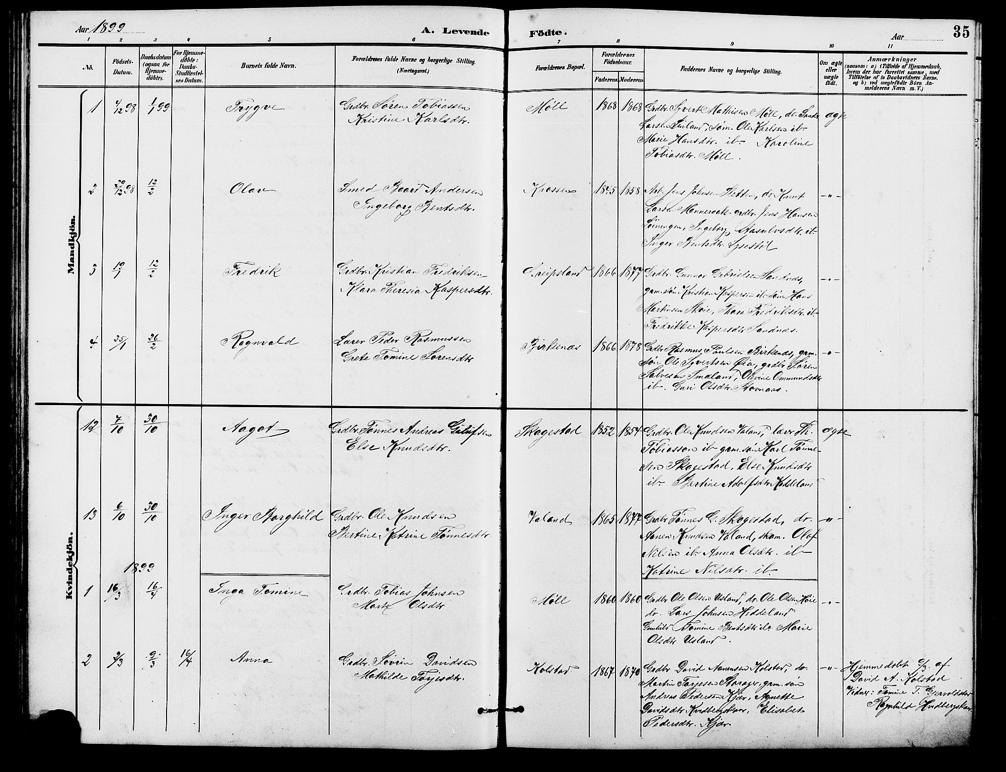 Holum sokneprestkontor, SAK/1111-0022/F/Fb/Fba/L0005: Parish register (copy) no. B 5, 1891-1909, p. 35
