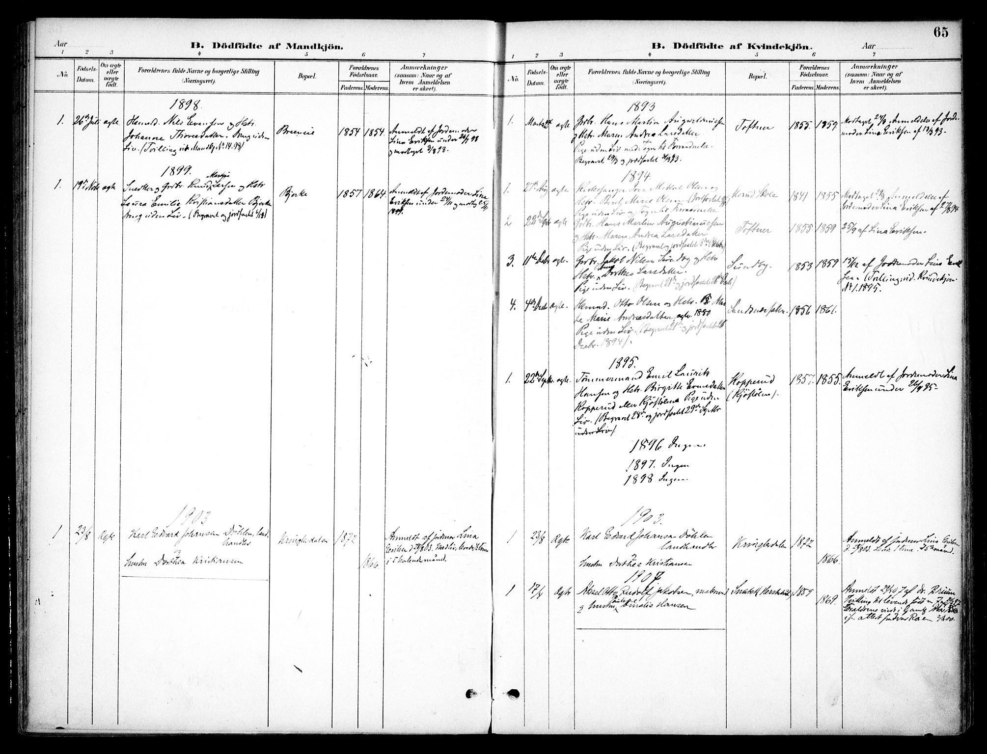 Nannestad prestekontor Kirkebøker, SAO/A-10414a/F/Fc/L0002: Parish register (official) no. III 2, 1893-1907, p. 65