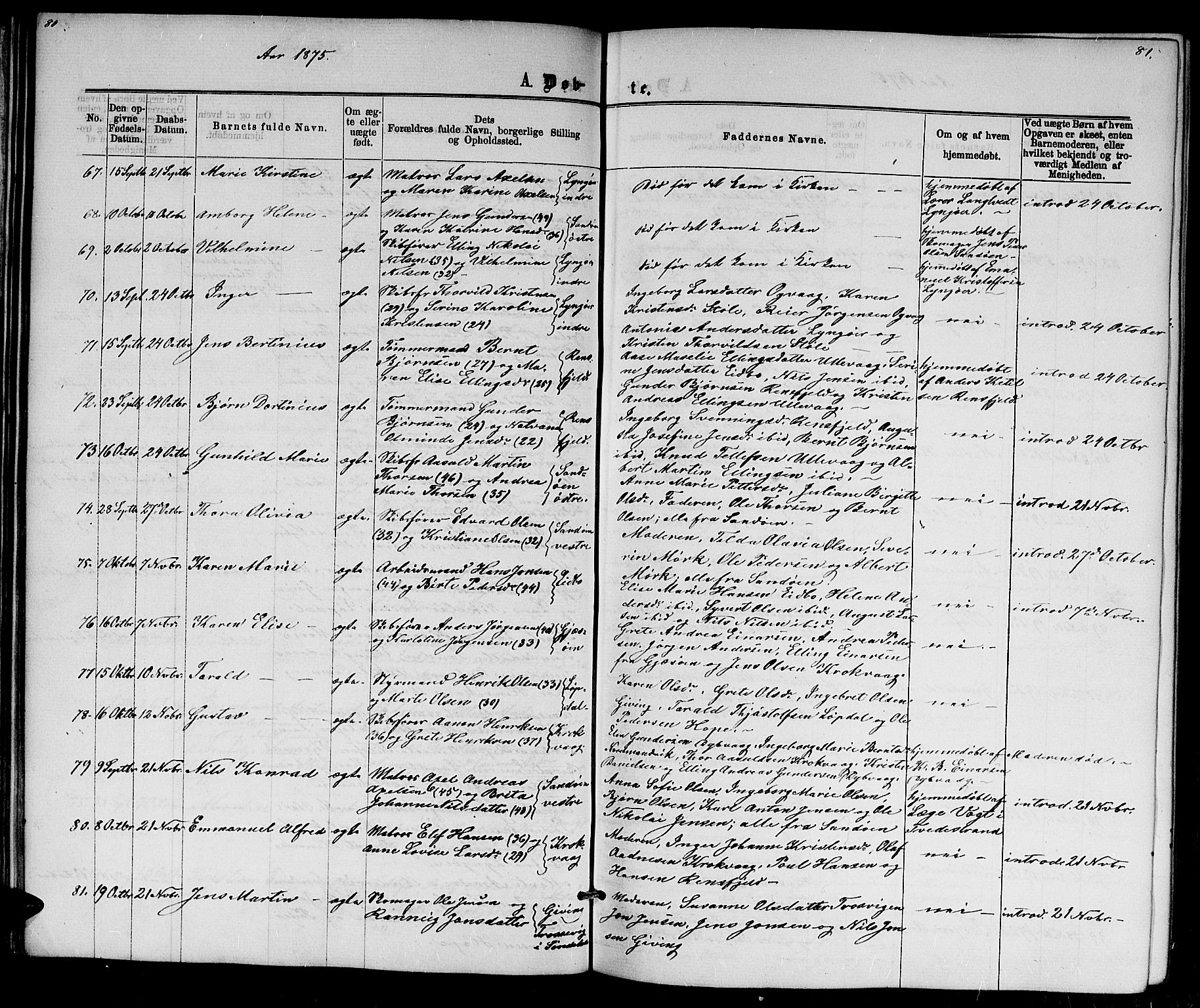 Dypvåg sokneprestkontor, AV/SAK-1111-0007/F/Fb/Fba/L0012: Parish register (copy) no. B 12, 1872-1886, p. 80-81