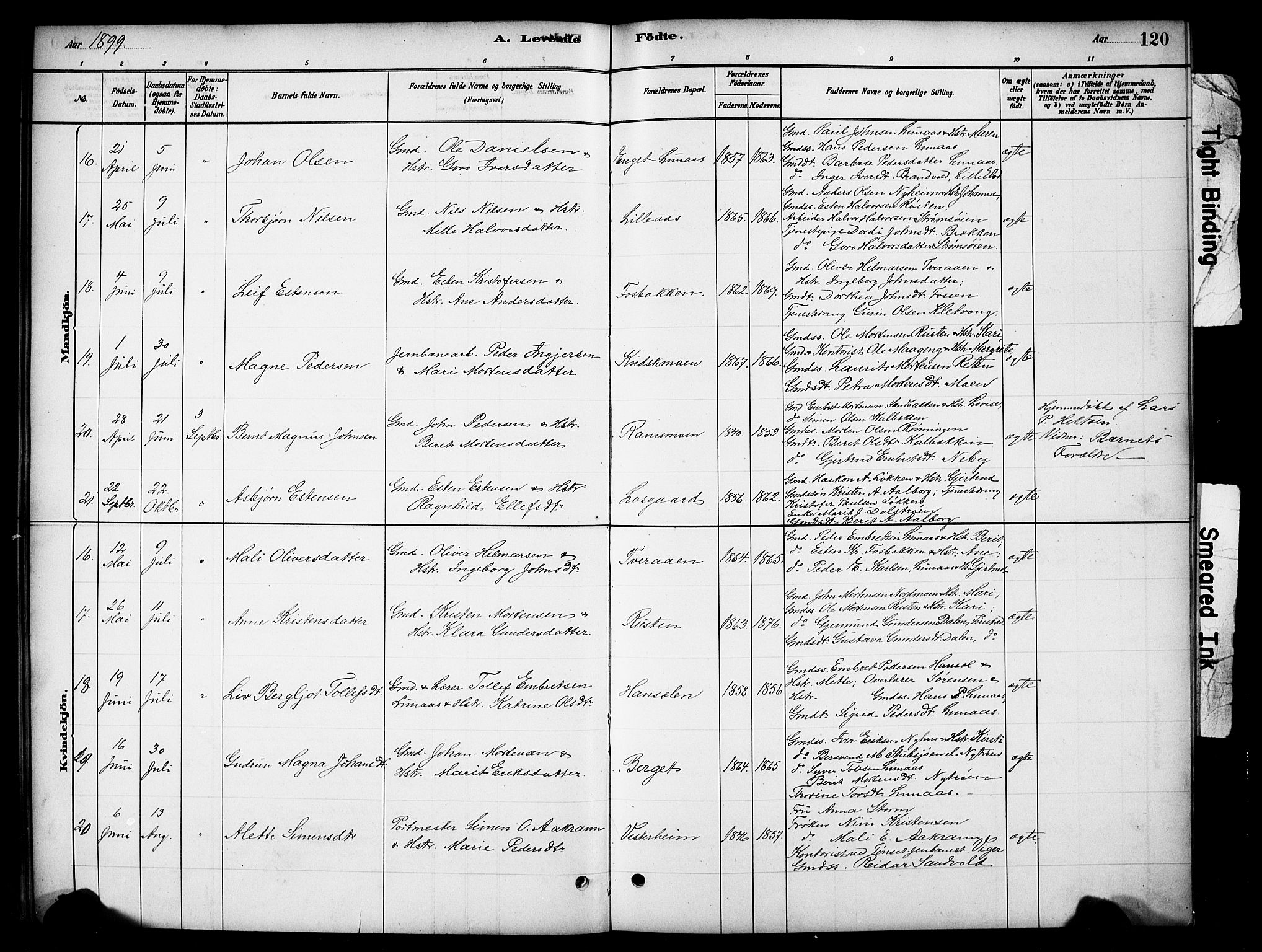 Tynset prestekontor, SAH/PREST-058/H/Ha/Hab/L0006: Parish register (copy) no. 6, 1880-1899, p. 120