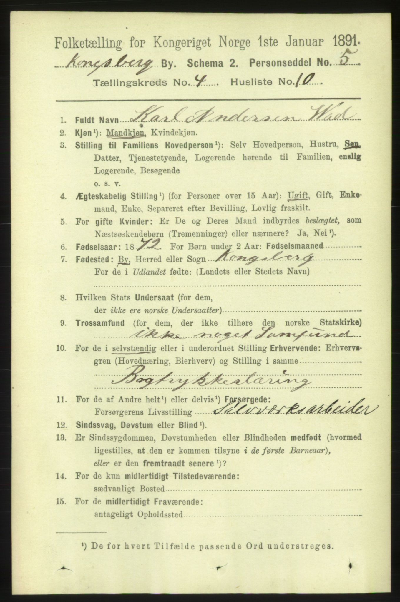 RA, 1891 census for 0604 Kongsberg, 1891, p. 3582