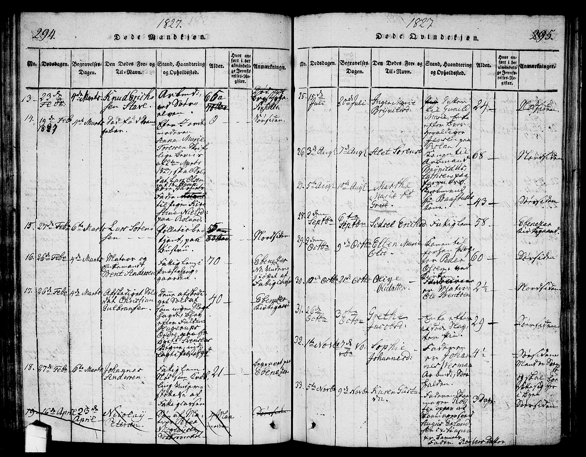 Halden prestekontor Kirkebøker, SAO/A-10909/G/Ga/L0001: Parish register (copy) no. 1, 1815-1833, p. 294-295